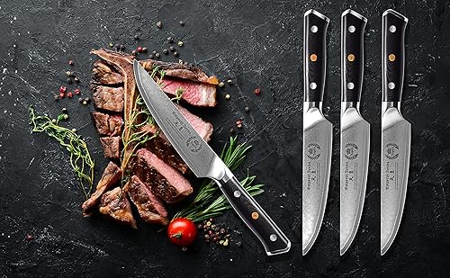 Miniatura 4 de Juego de cuchillos para carne, 4 piezas, acero Damasco de 5 pulgadas, hoja de acero de alto carbono AUS-10V, mango ergonómico G-10 Garolite