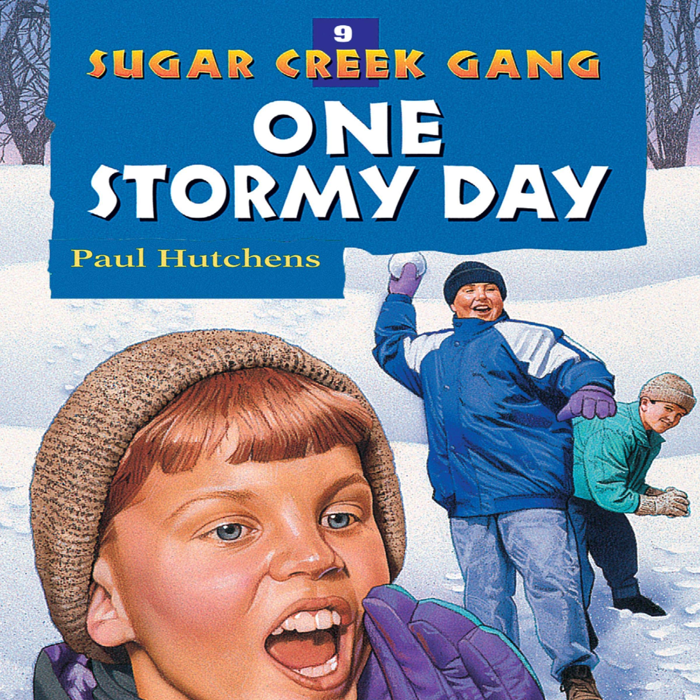 Cover art for One Stormy Day