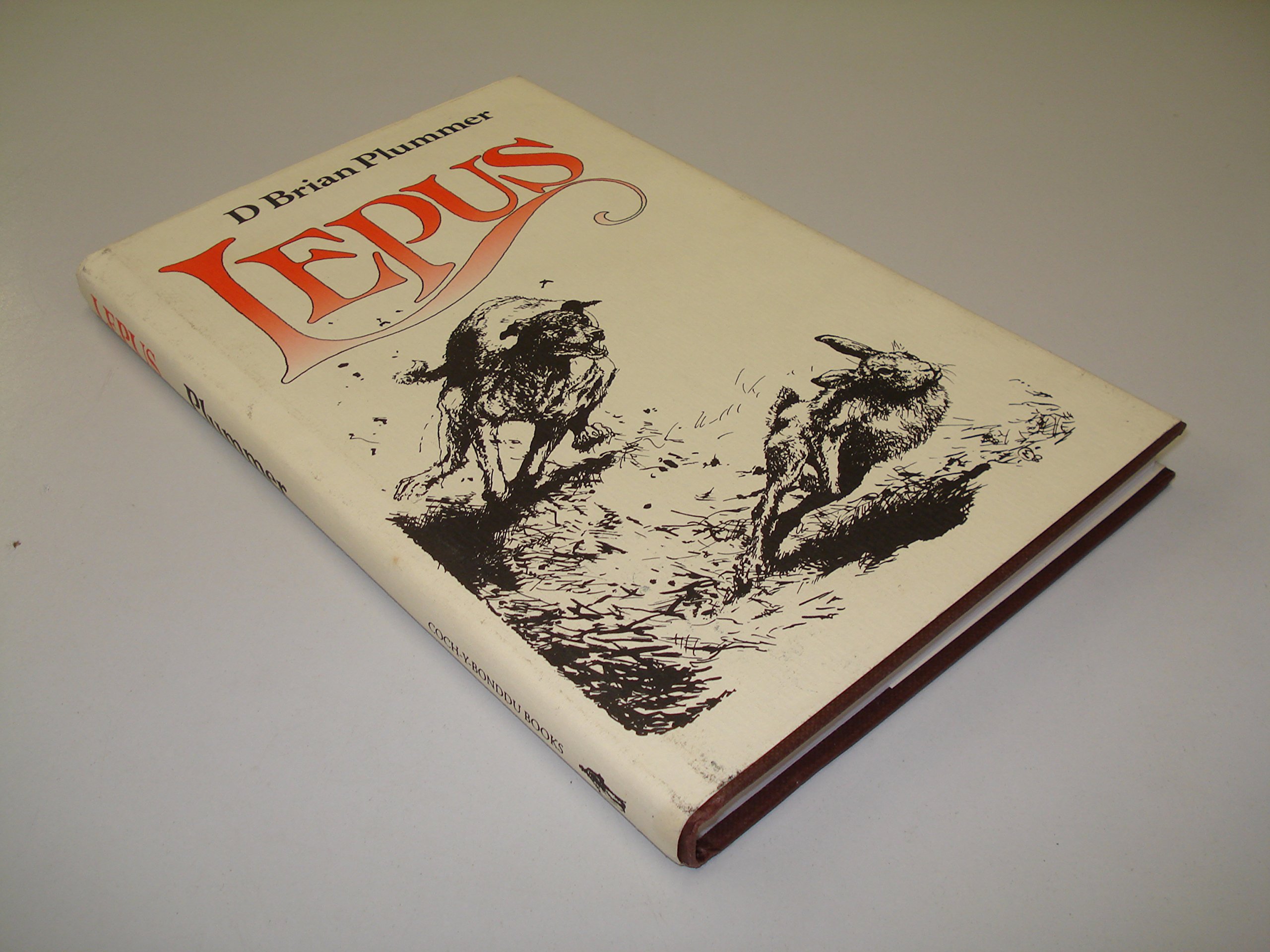 Lepus The Story of a Hare by David Brian Plummer (Hardback Book)