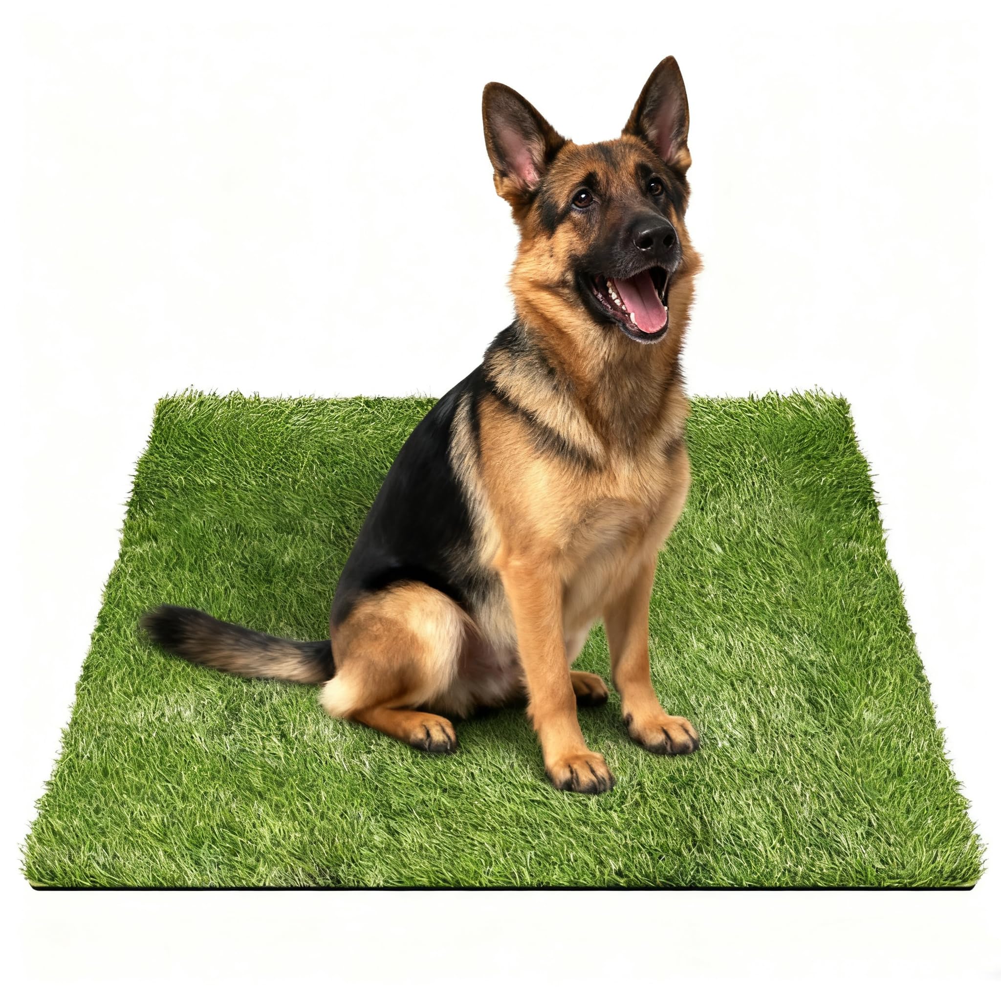 Tapis d'herbe artificielle pour chien idéal balcon et intérieur