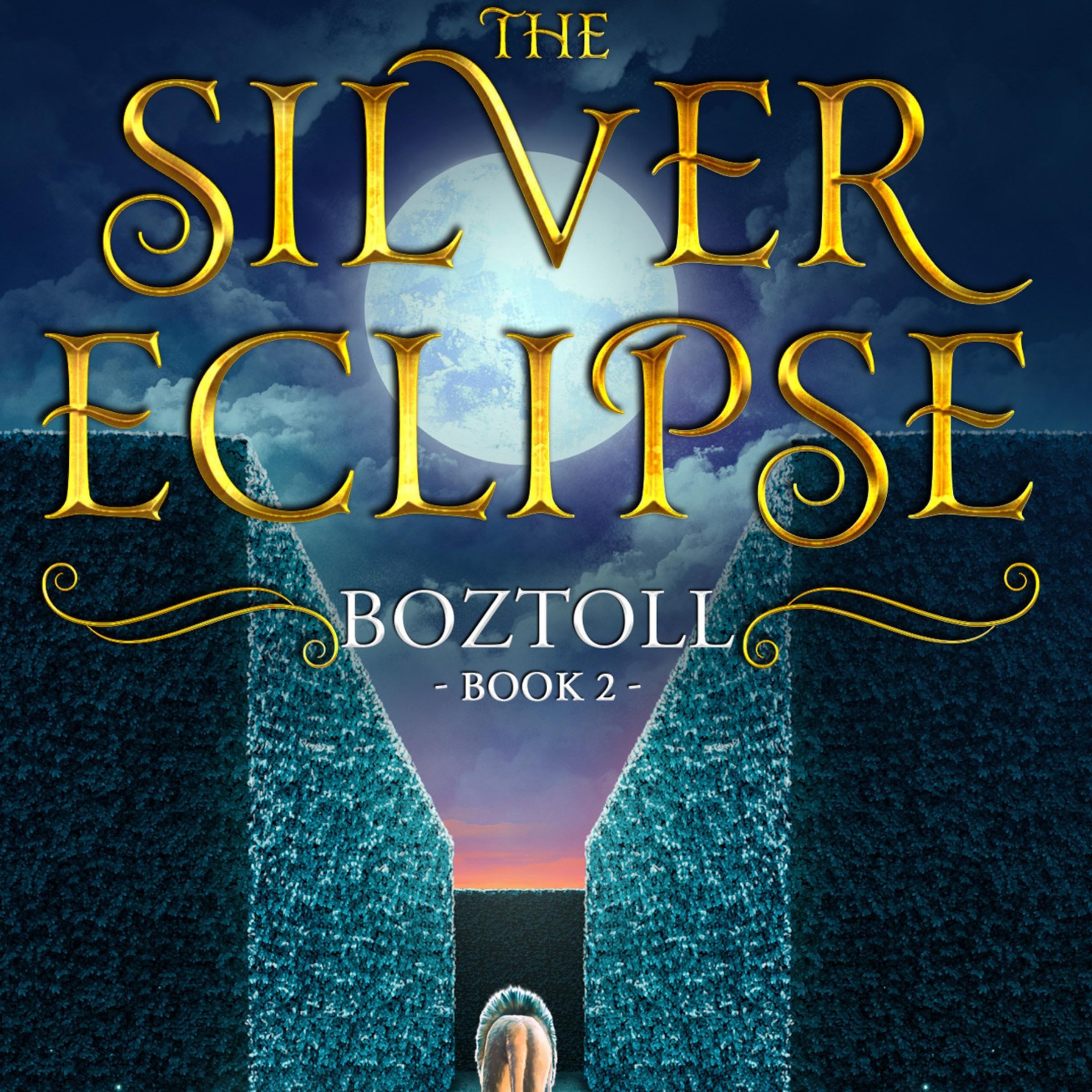Cover art for Boztoll