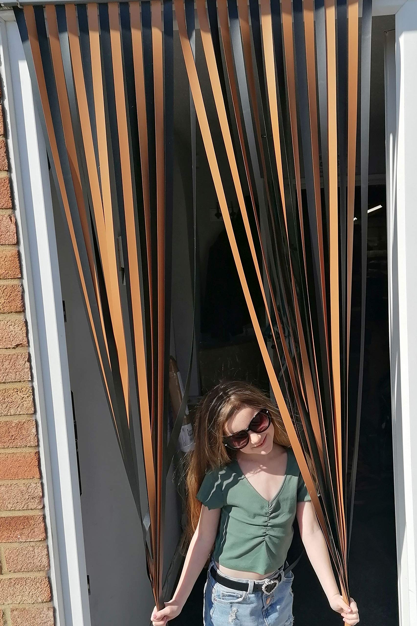Holland Plastics Original Brand Heavy Duty Bug Blind,Strip Blind-80cm (Standard UK door size)- BLACK & GOLD - Complete with hooks for Plastic Frames