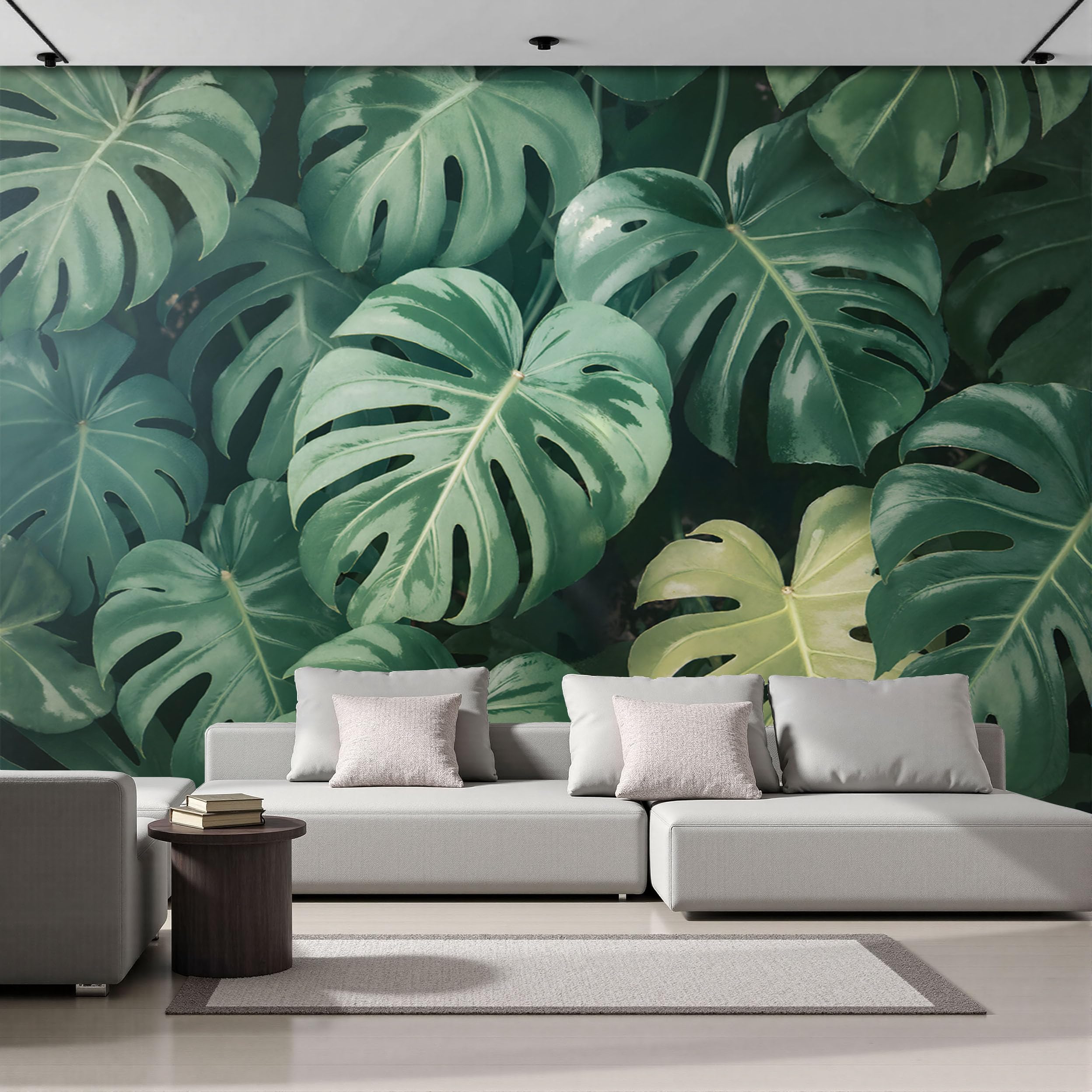 Carta da Parati Moderna per Soggiorno, Piante tropicali Foglie di Monstera, 350x256cm | Fotomurali in Seta, Decorazione da Muro XXL, Carte da Parati Moderne Verde scuro