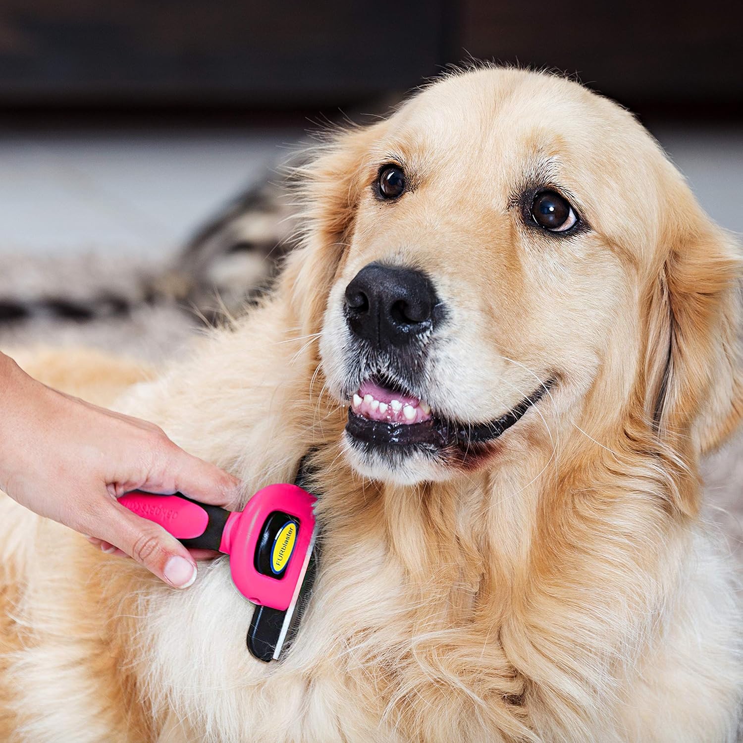 dakpets deshedding tool