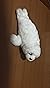 Cuscino Foca, Cuscino Foca Paffuto, Simpatico Peluche Foca, Acquario