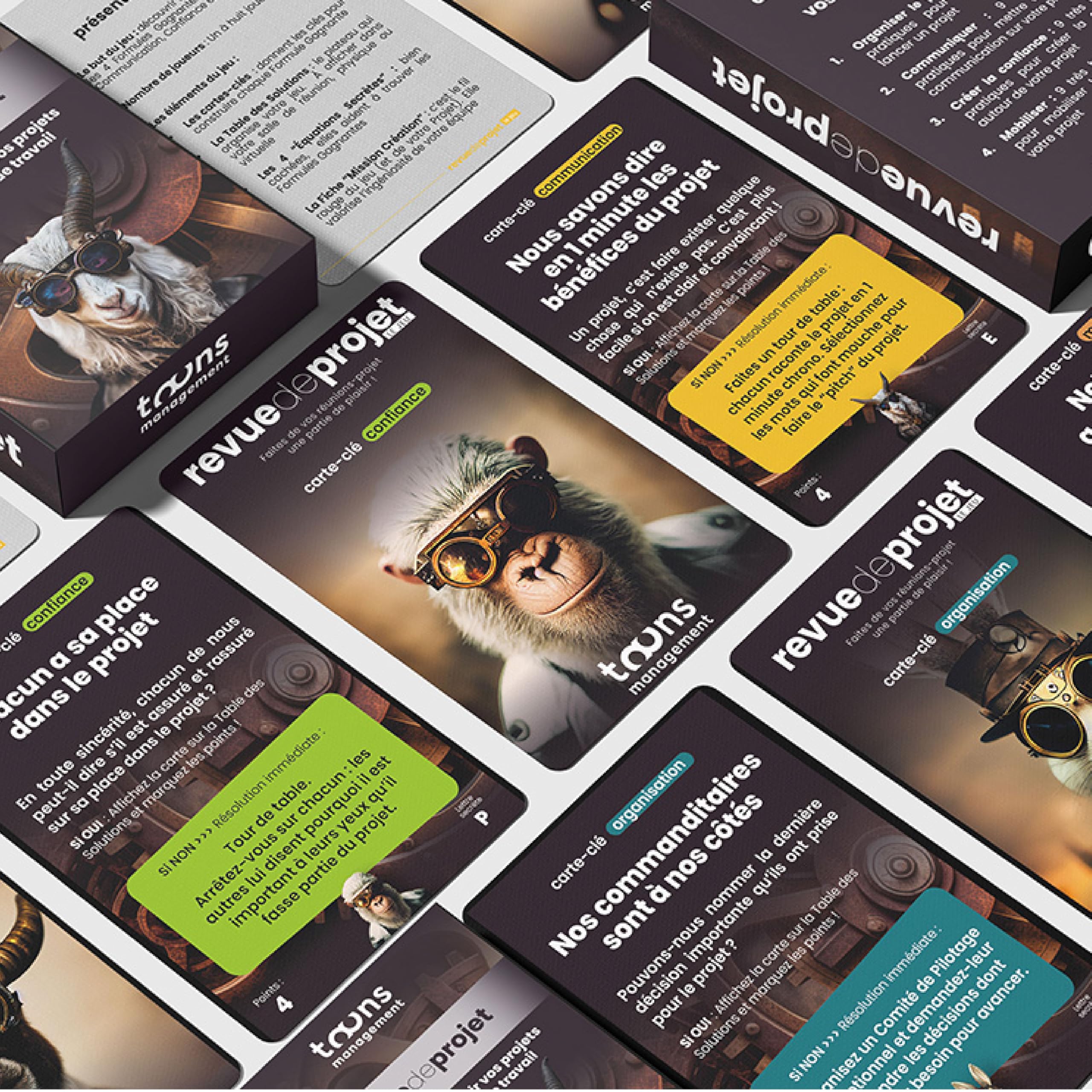 Jeu Revue de projet© | 64 cartes pour réussir vos réunions de pilotage | Structuration & décisions claires en 15 min | Outil de gestion de projet collaboratif et management d’équipe