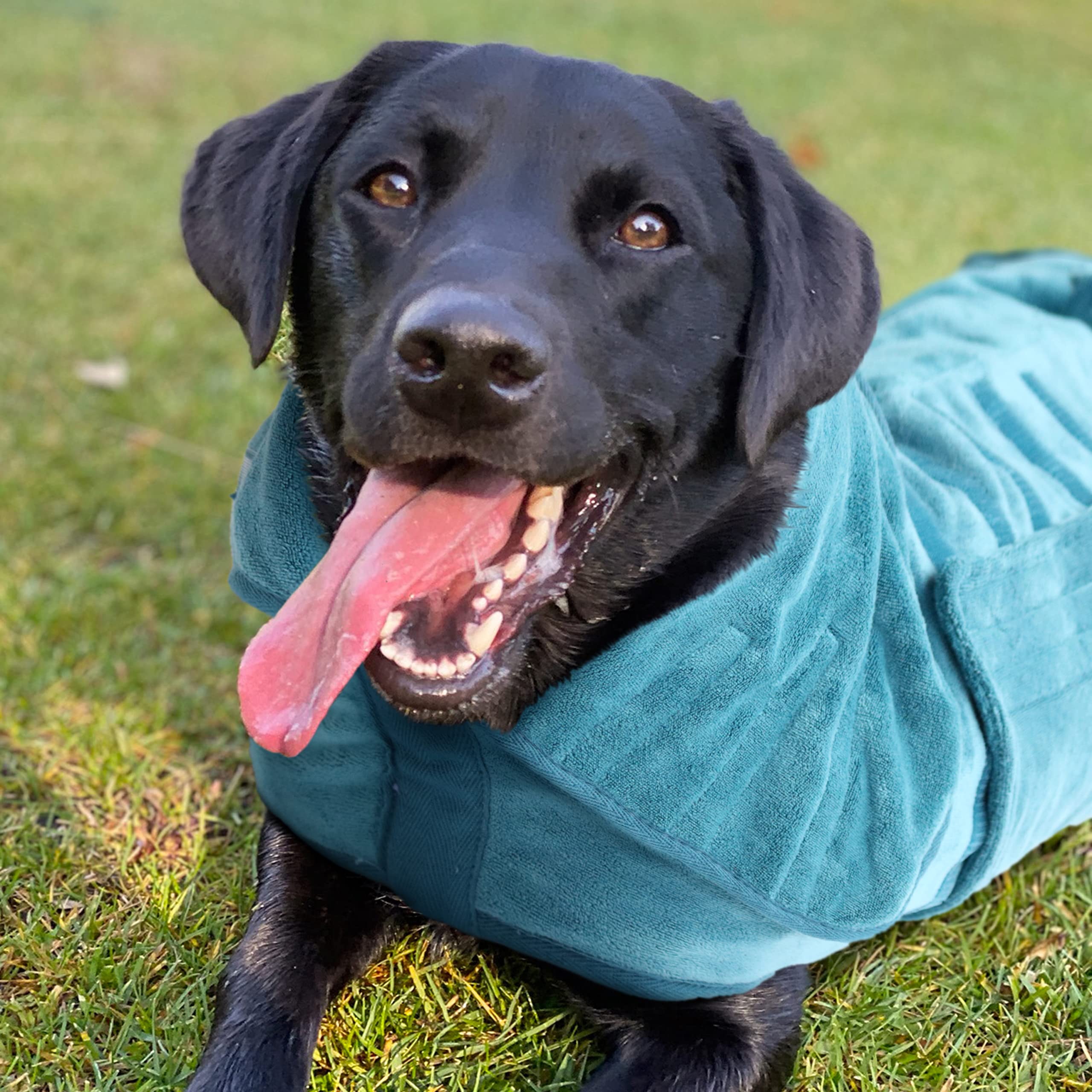 Manteau de séchage pour chien – Peignoir en microfibre avec design double couche super absorbant – Serviette pour chien pour sécher les chiens, coupe confortable (taille XL, bleu