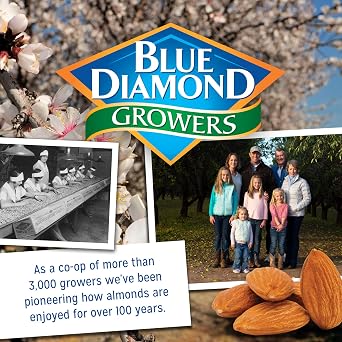Blue Diamond Almonds Salt N' Vinegar Flavored Snack Nuts, Single Serve Bags (1.5 oz, 2 Packs of 12)