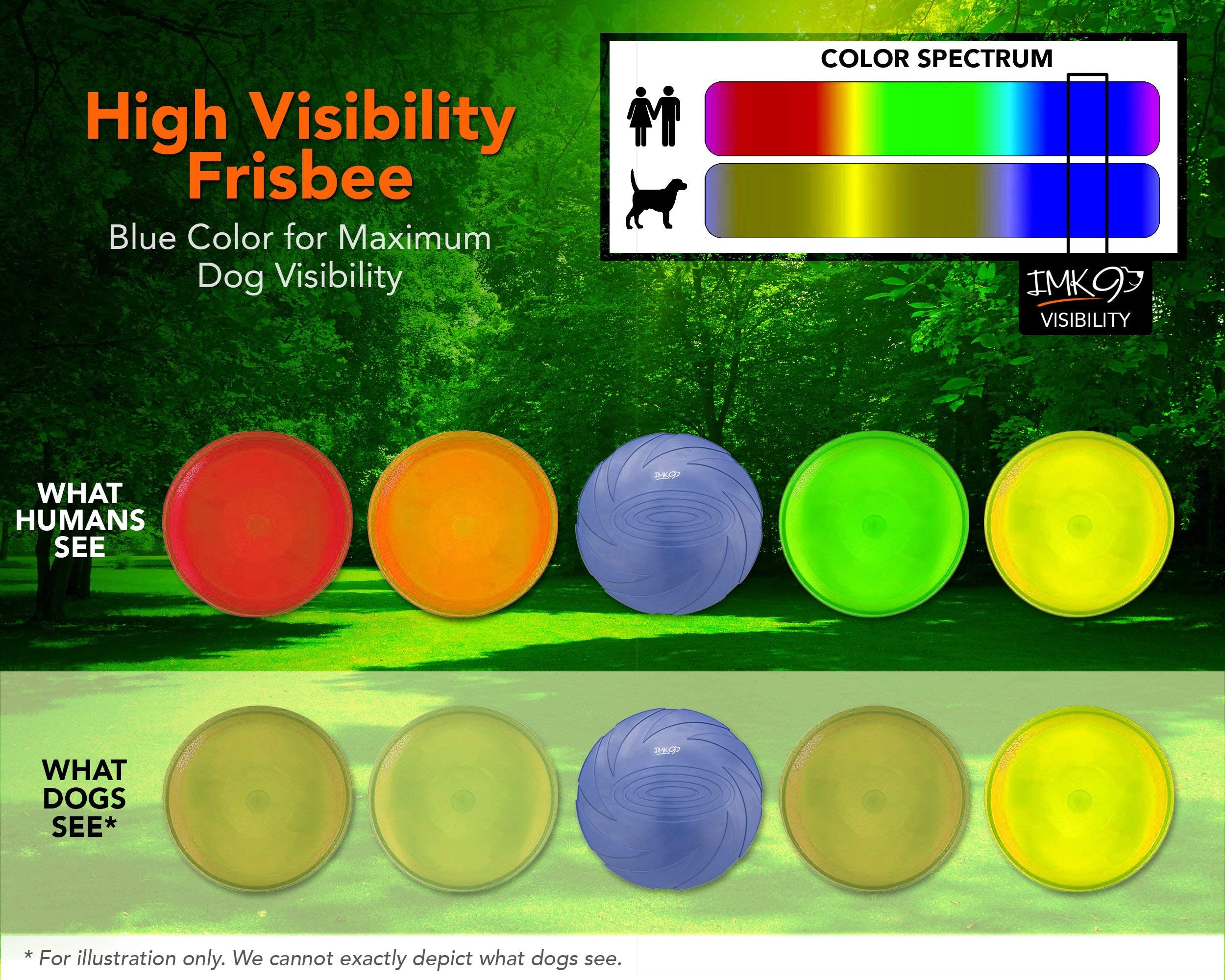 What Colour Do Dogs See Best