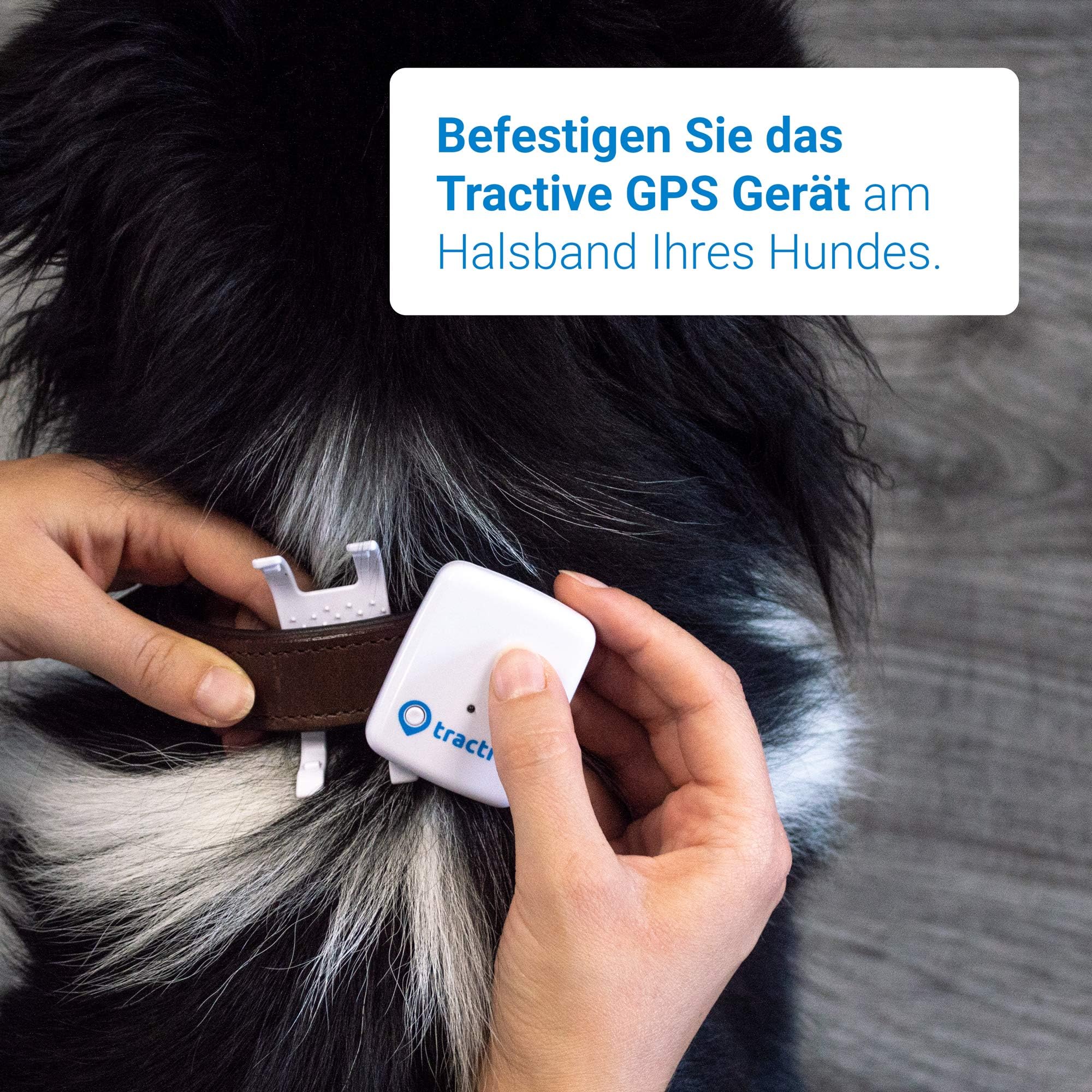 amazon tractive gps