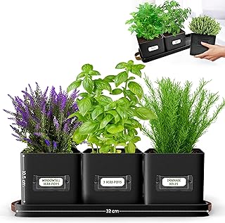 Green Thumbz Herb Pots for Kitchen Windowsill - Set of 3 Black Herb Planter Indoor with Leather Handled Tray - Ideal for a...