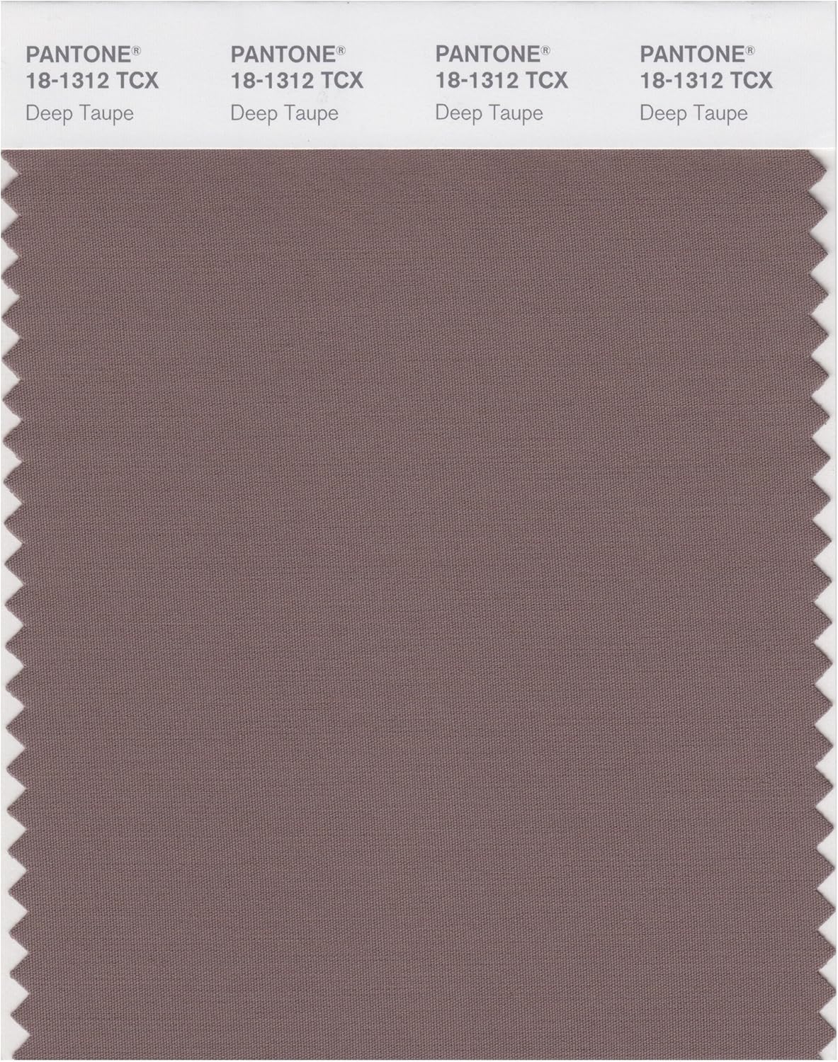 PANTONE Smart 18-1314X Color Swatch Card, Acorn