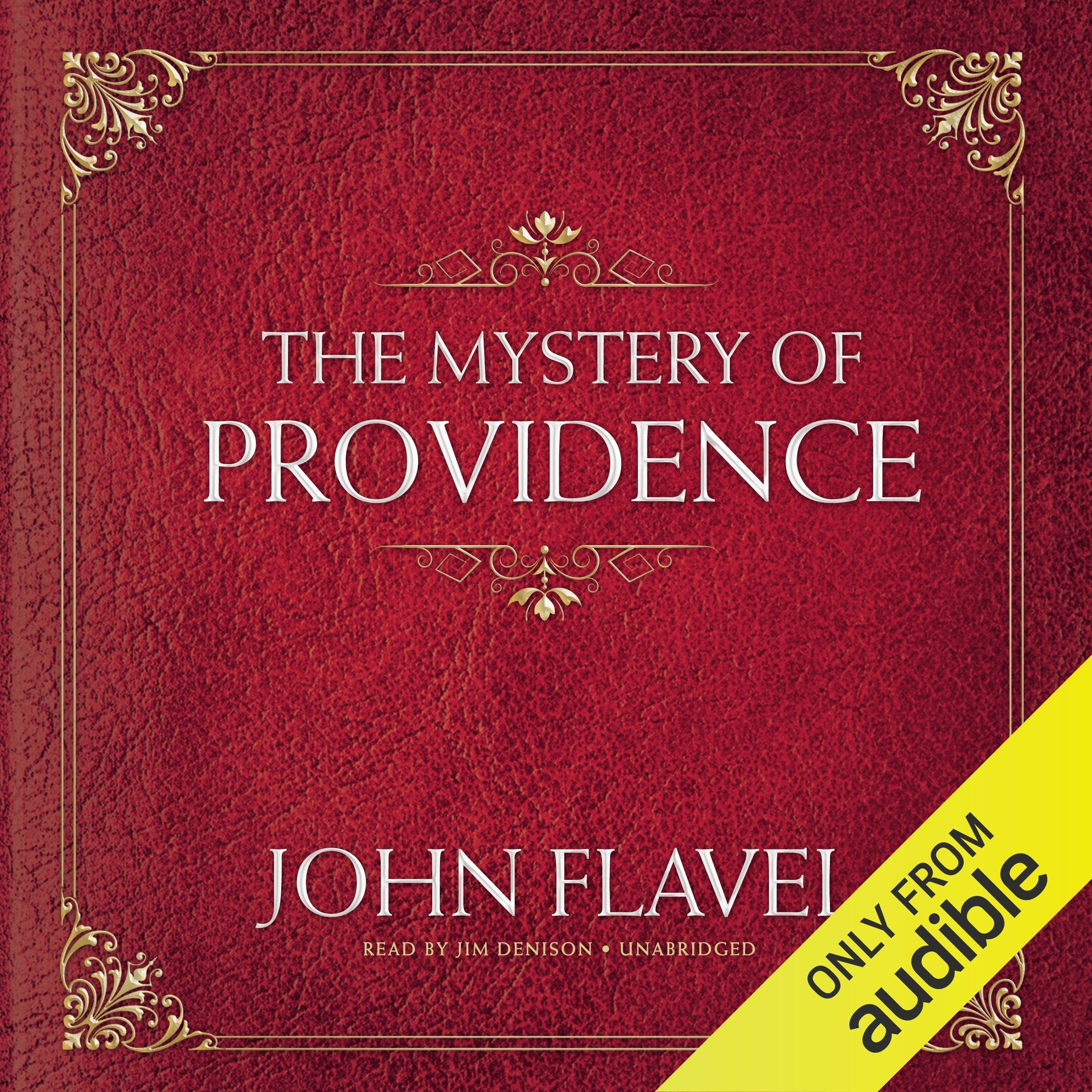 Cover art for The Mystery of Providence