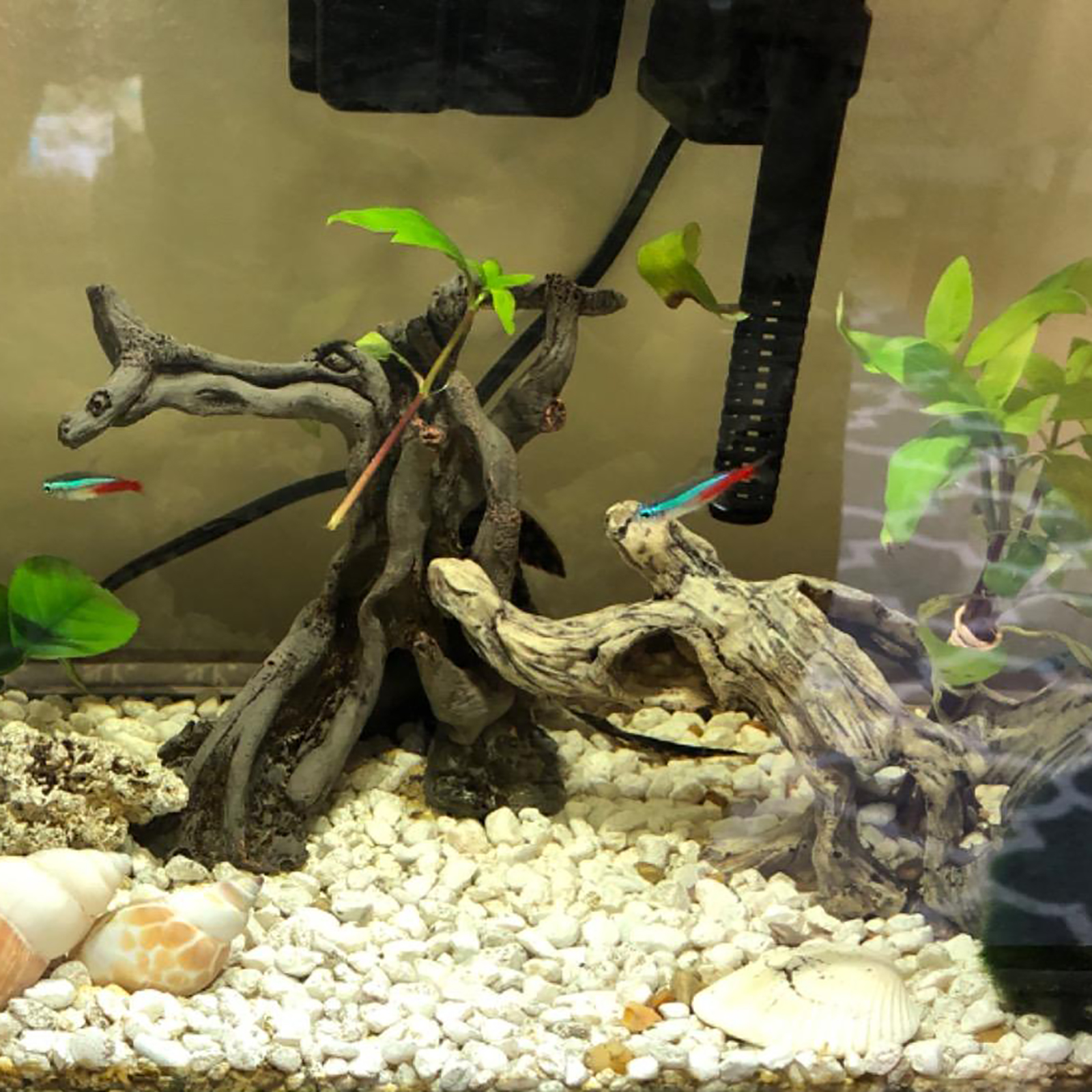 Amazon.com: Anranmm Hermit Crab Climbing Toys Aquarium Decorations