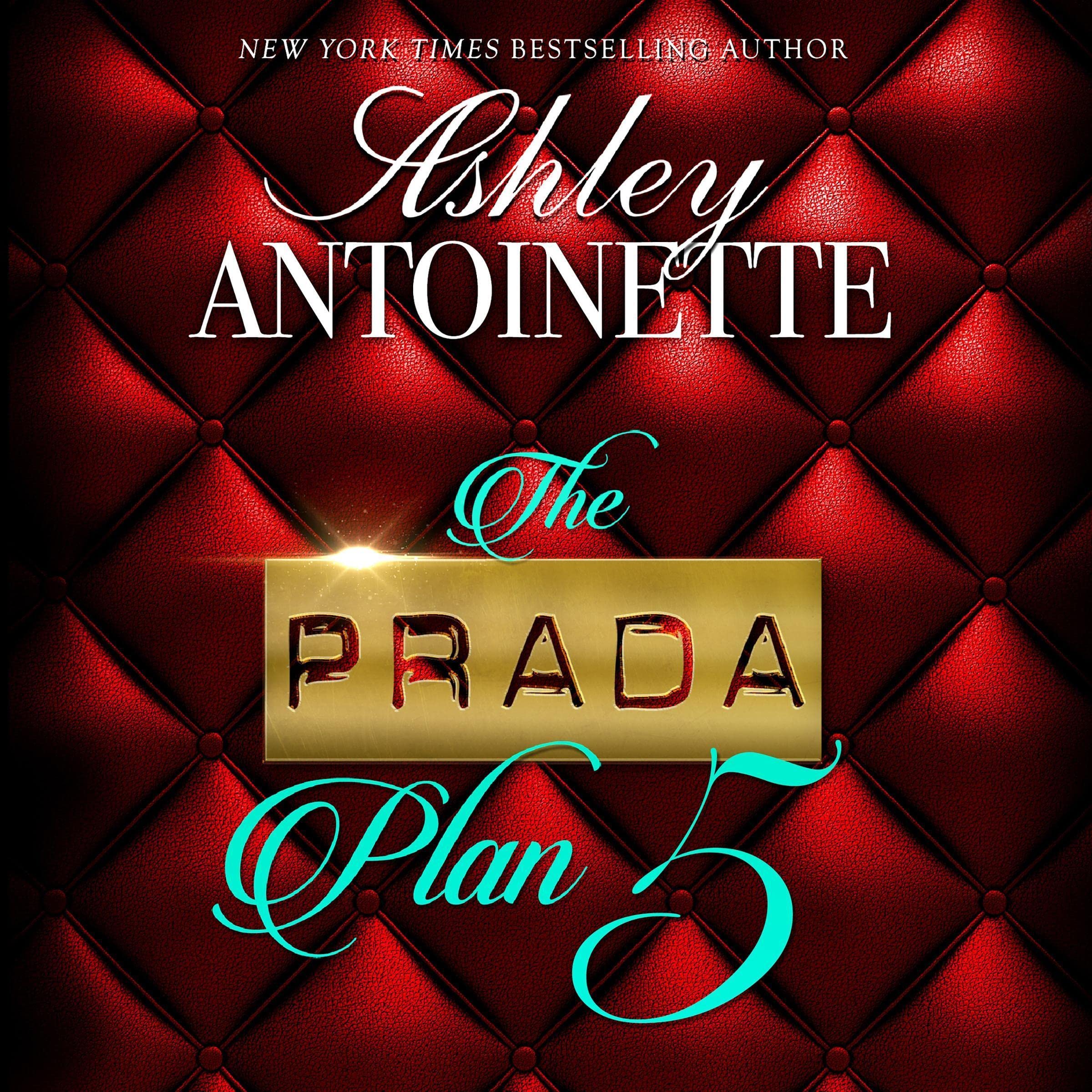 Cover art for The Prada Plan 5