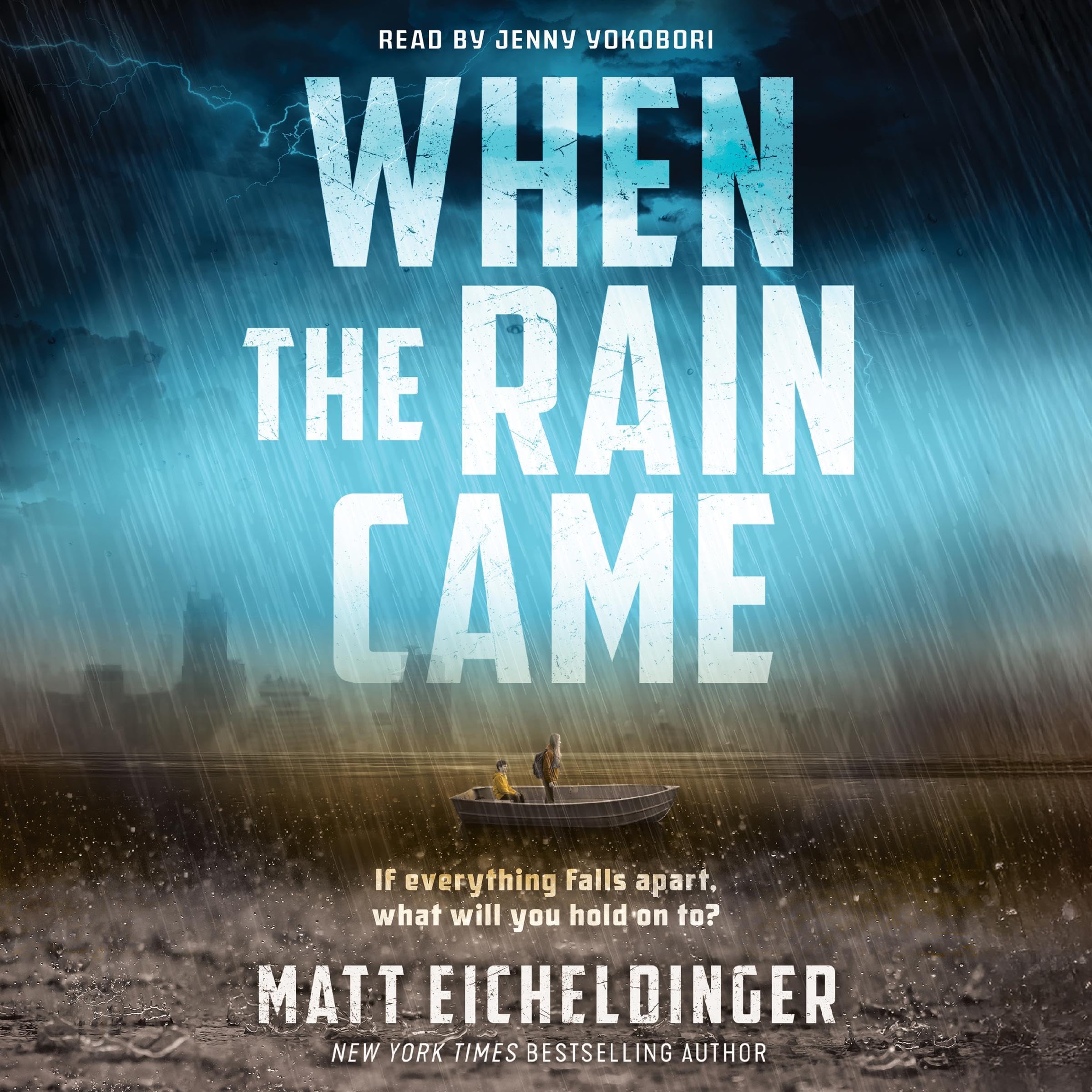 Cover art for When the Rain Came