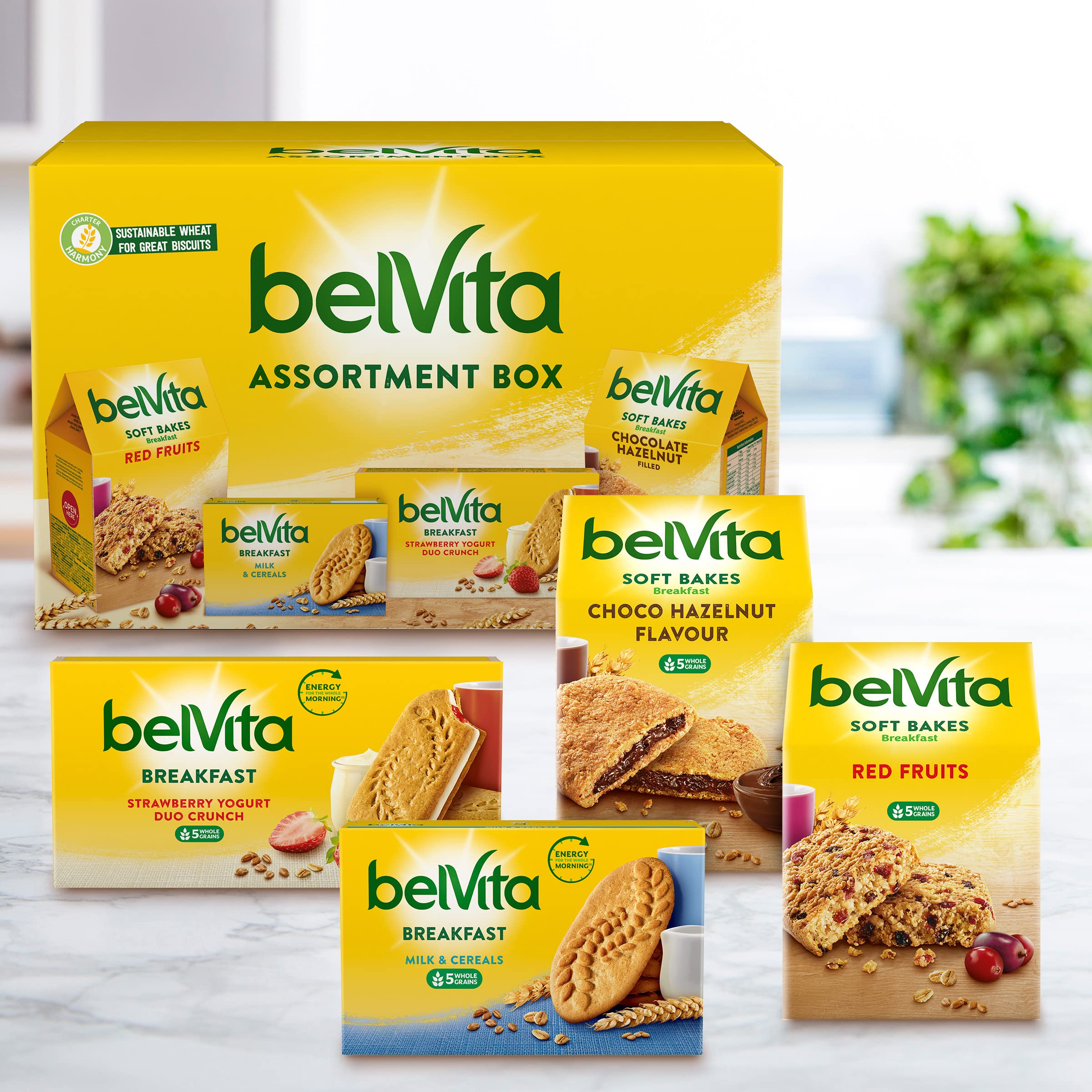 Belvita Breakfast Biscuit Ultimate Variety Assortment Bulk Box, 1.9kg OFFICIAL. Office Supplies, Party, Hamper