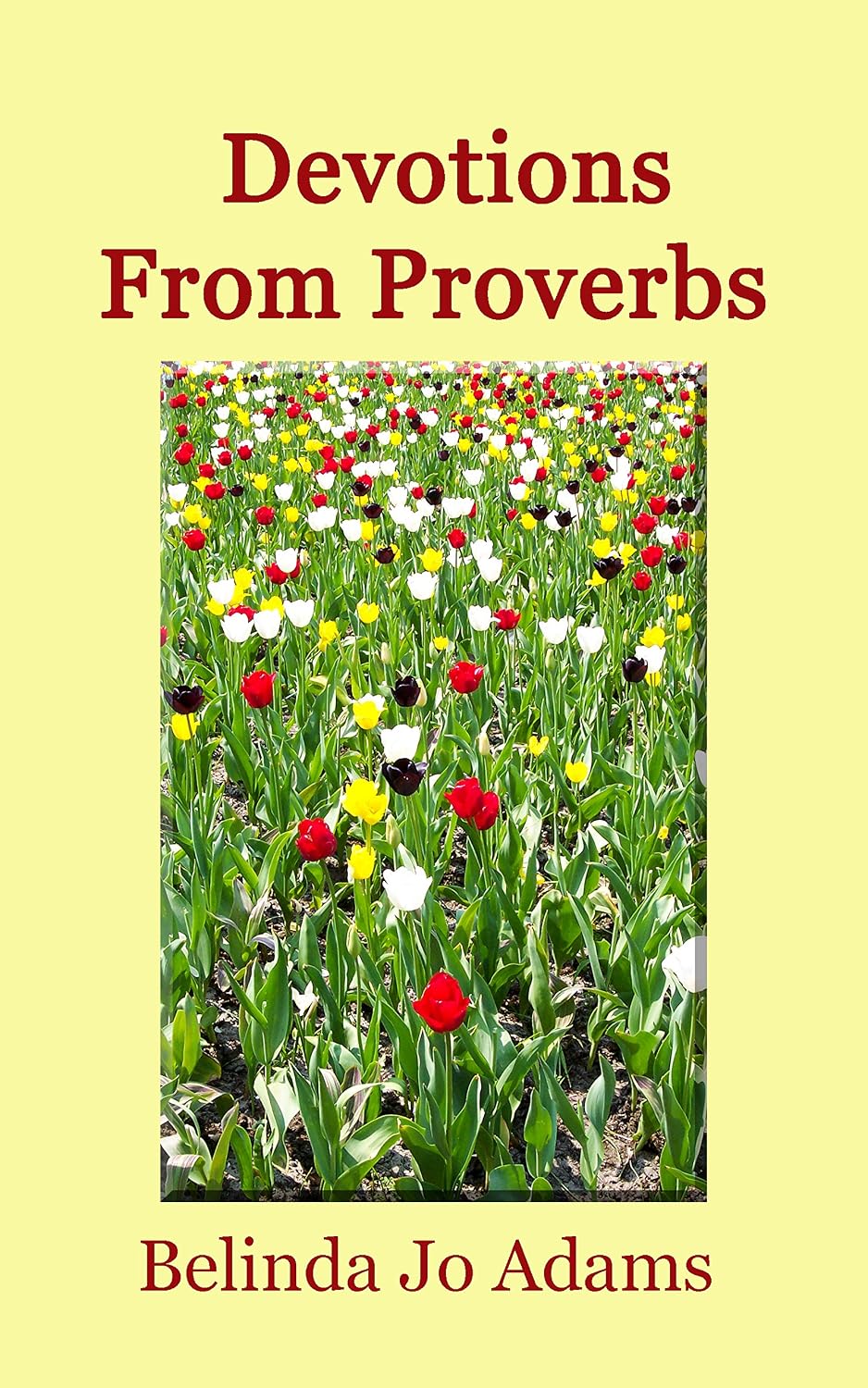 Devotions From Proverbs Kindle edition by Adams, Belinda Jo. Religion