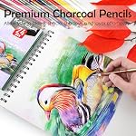 KALOUR PDAS 24 Ensemble de crayons de charbon de couleur premium, crayons en craie de pastel de qualité, teinte de peau, pour la coloration, le croquis, le dessin, la couche & Mélange pour les débutants & Artistes