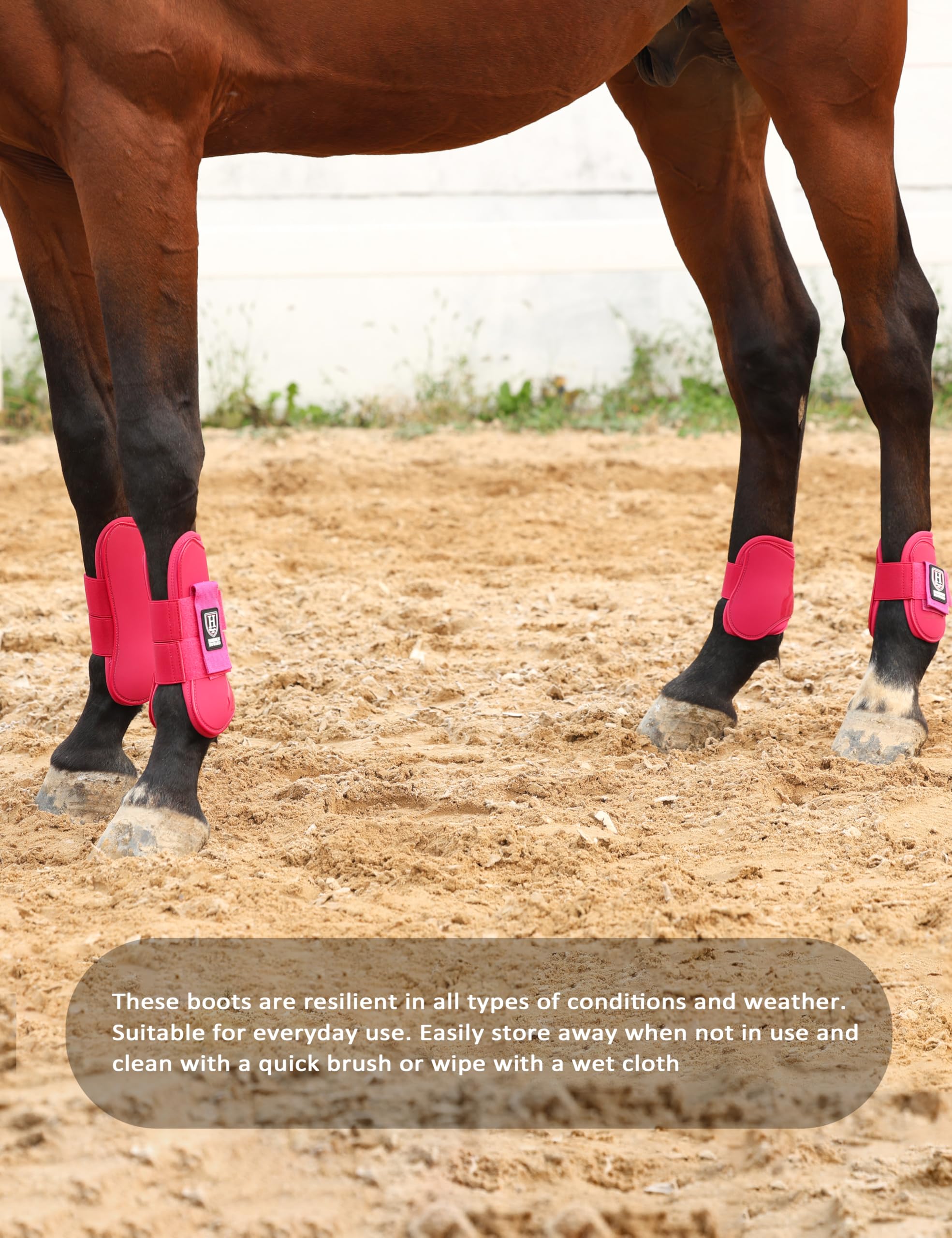 Harrison Howard Botas de tendón de caballo con parte delantera abierta, botas protectoras para caballos para saltar, montar en senderos, juego de 4