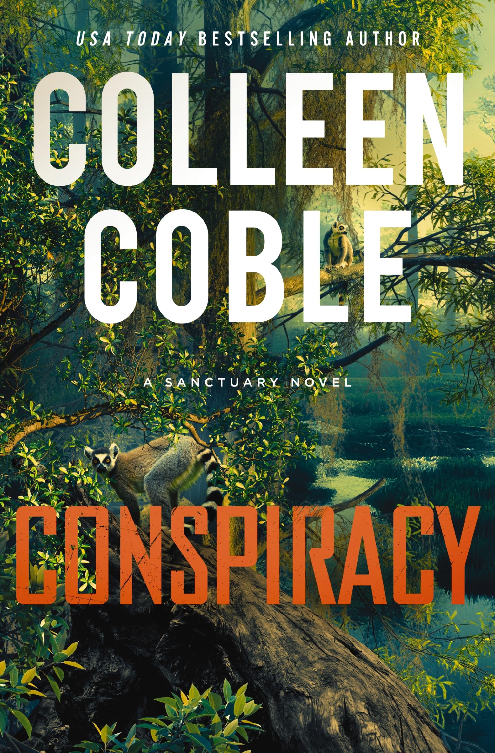 Conspiracy: A Novel (A Sanctuary Novel)