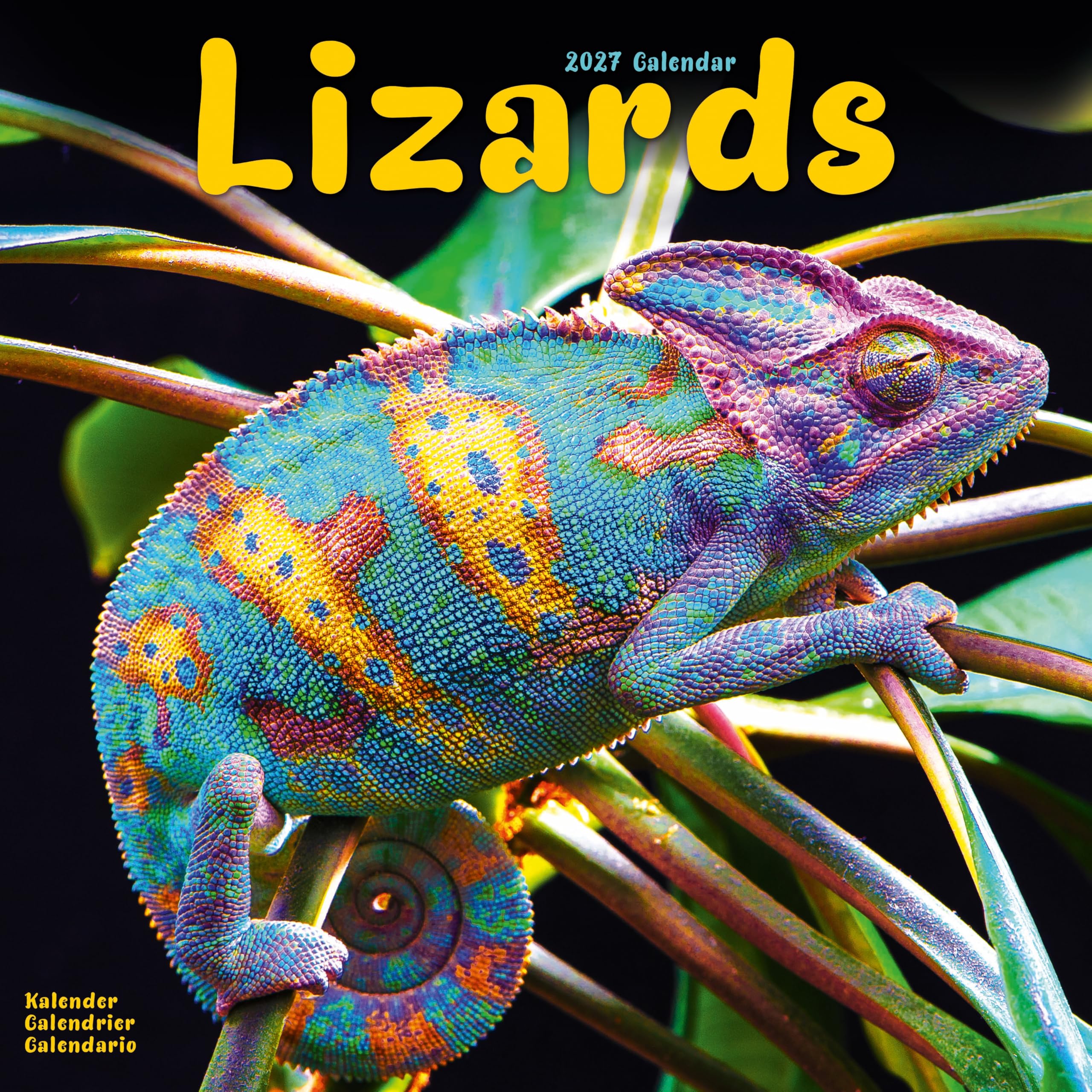 Lizards Calendar 2027, Wall Calendars, Month To View, Animals, Gift