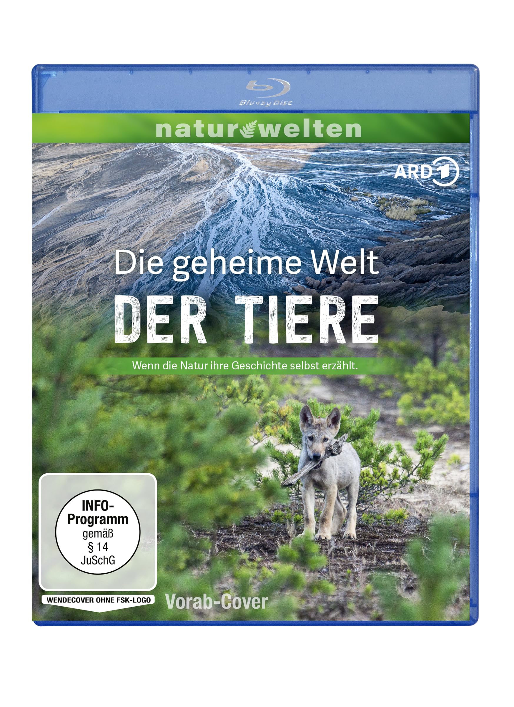 DVDs und Blu-rays reduziert