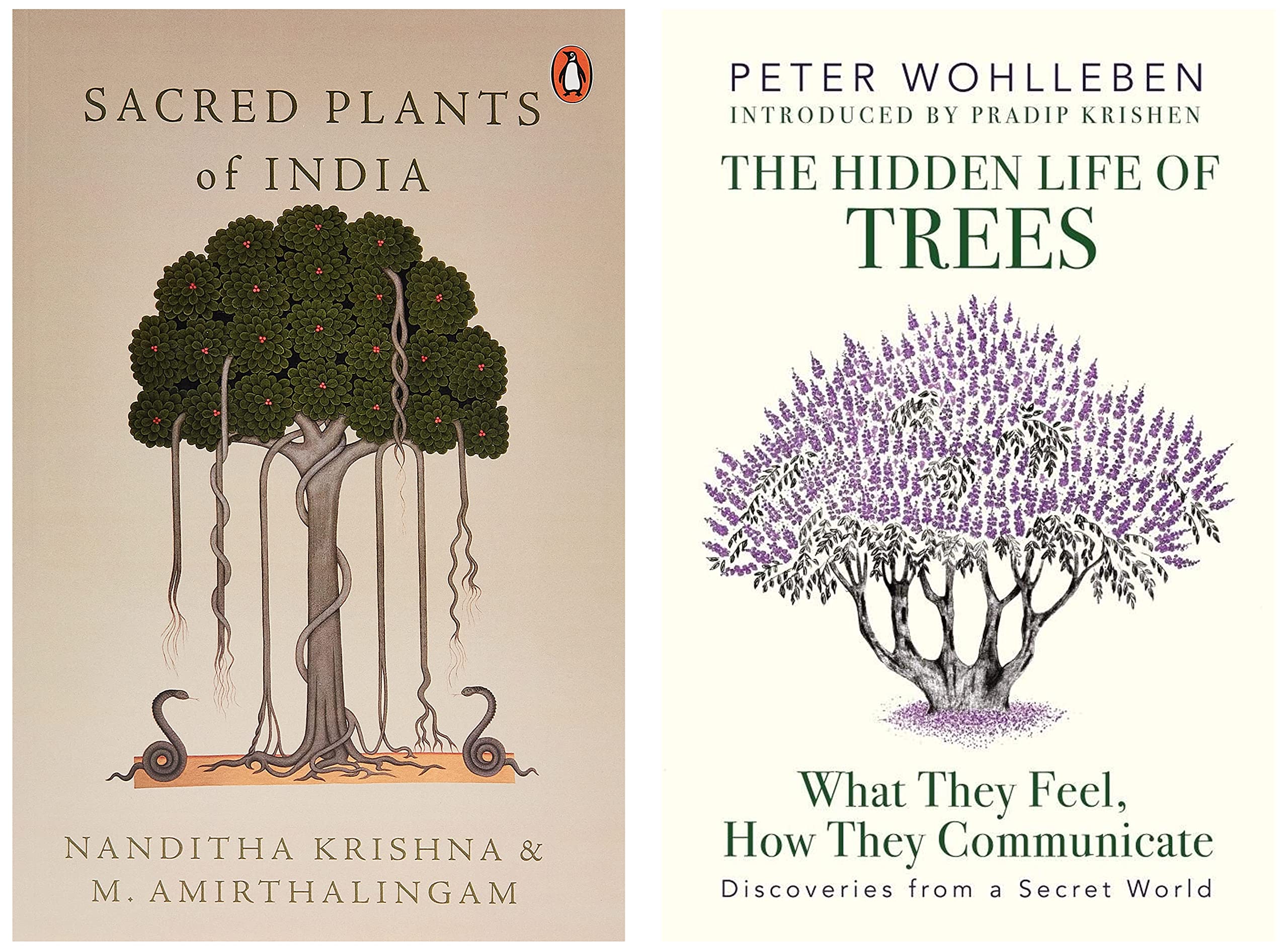 Buy The Hidden Life of Trees: What they Feel, How they Communicate