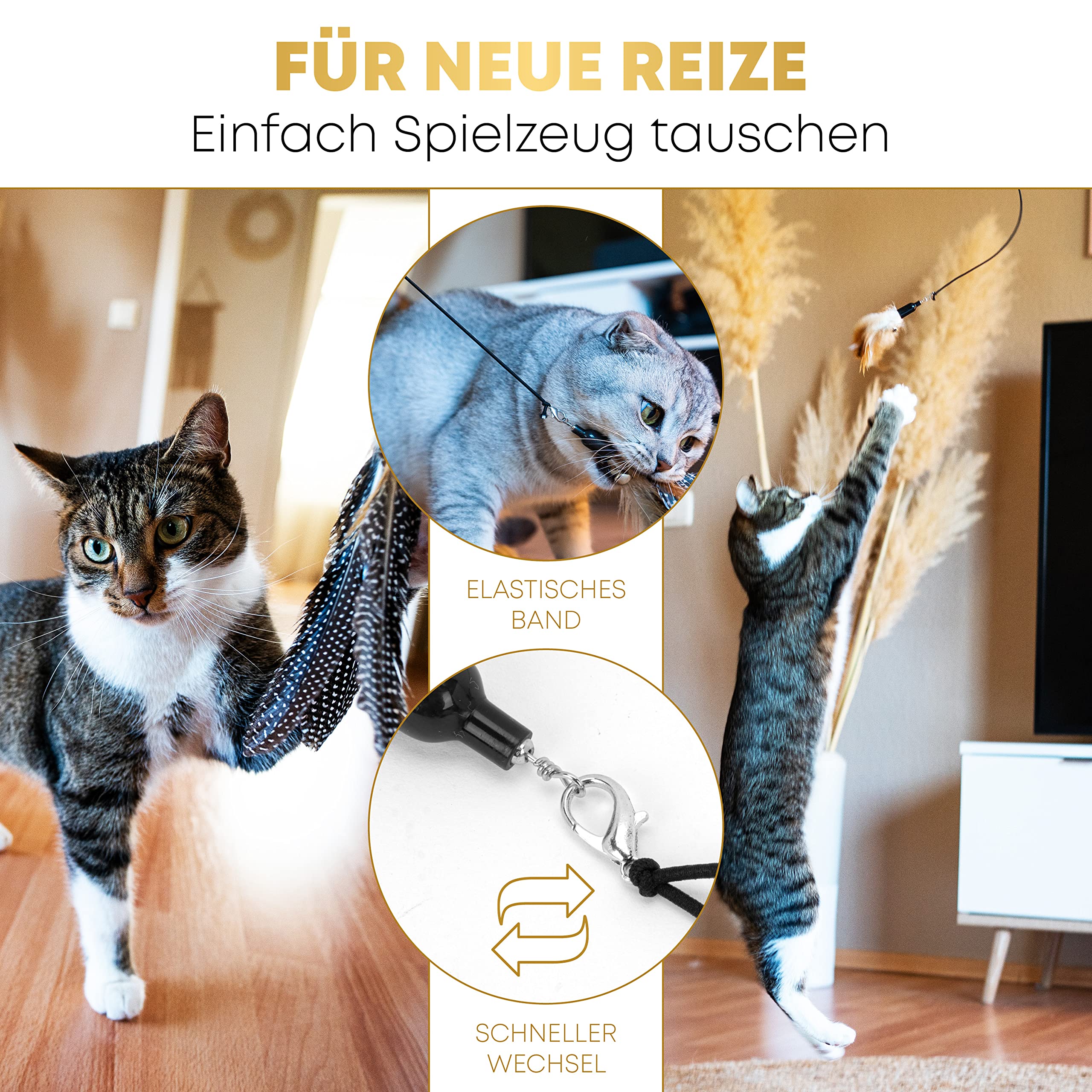 St.Pawly® Katzenangel - Katzenspielzeug - austauschbare Anhänger - Ersatzband - ergonomischer Holzgriff - nachhaltiges Spielzeug für Katzen - stabil