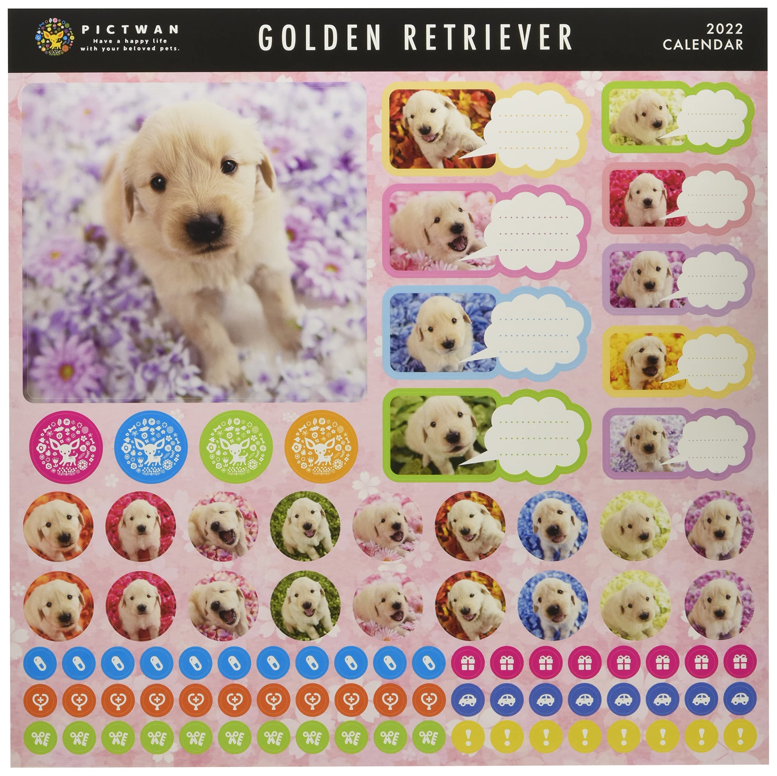 Amazon.co.jp: インターズー・クリニッククラブ ［PICT WAN