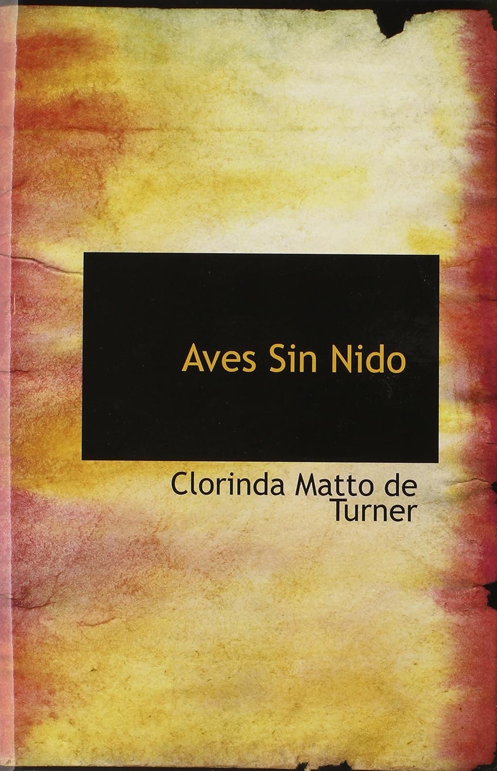 Aves Sin Nido Spanish Edition Turner Clorinda Matto De