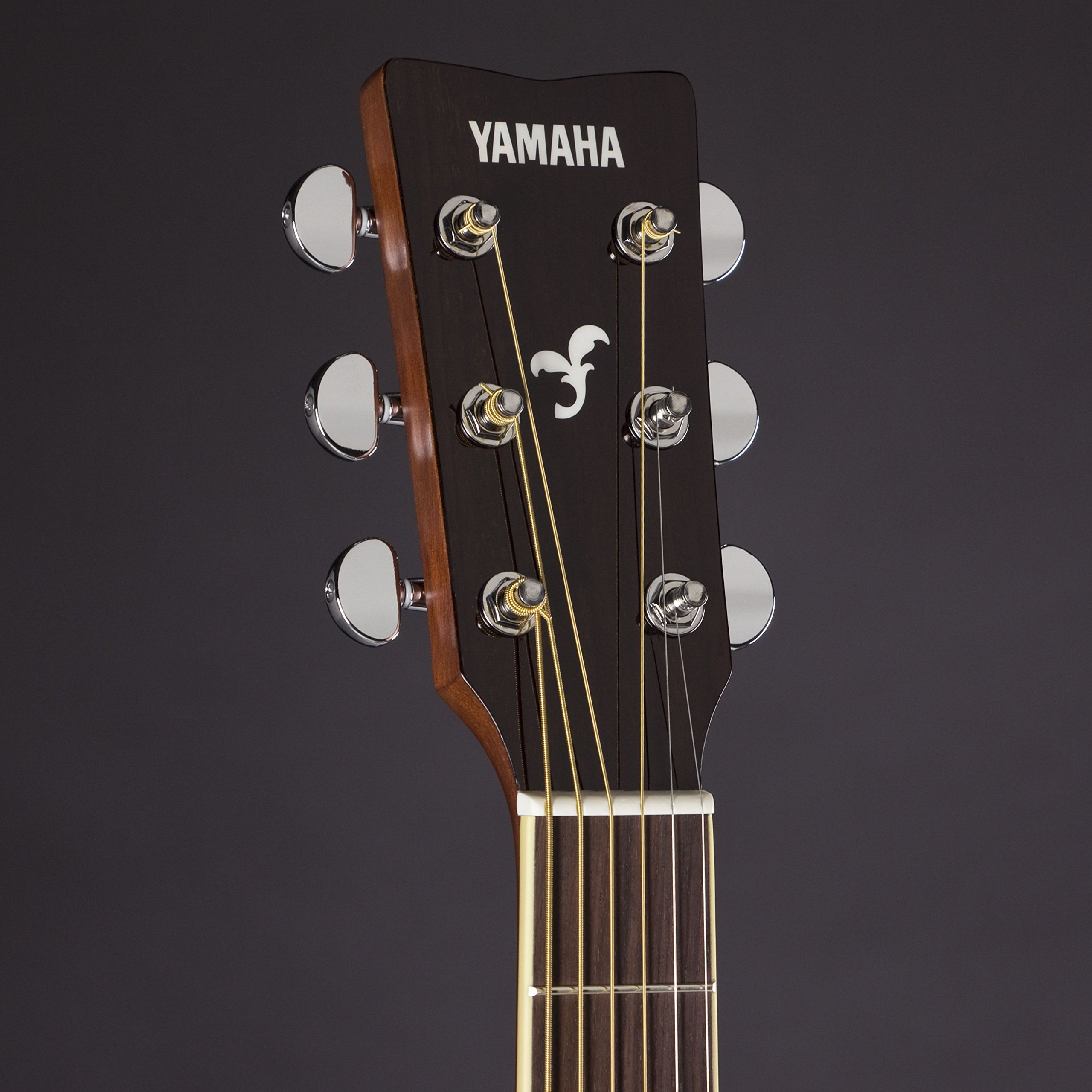 Amazon.co.jp: ヤマハ YAMAHA アコースティックギター FG SERIES