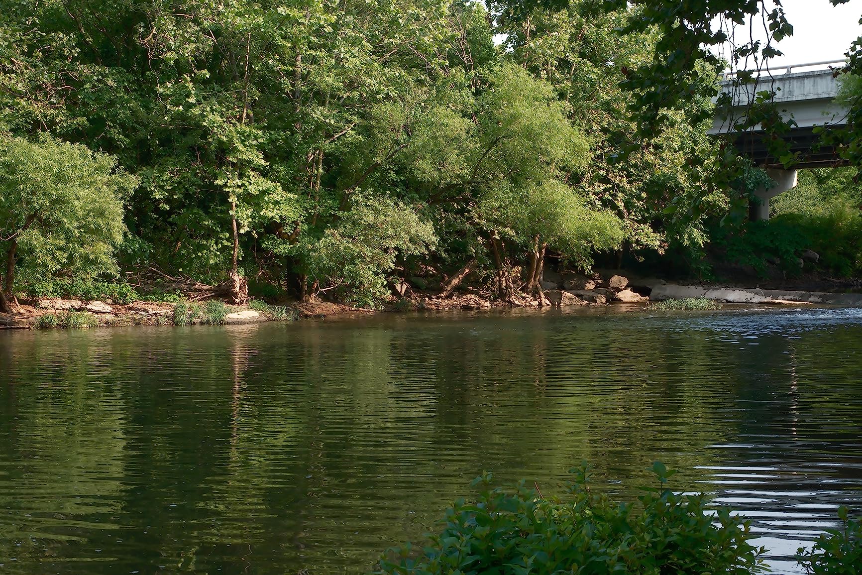 Amateur photographer’s dream