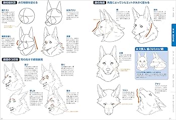 Amazon.com: How to Draw Beastman / 獣人の描き方