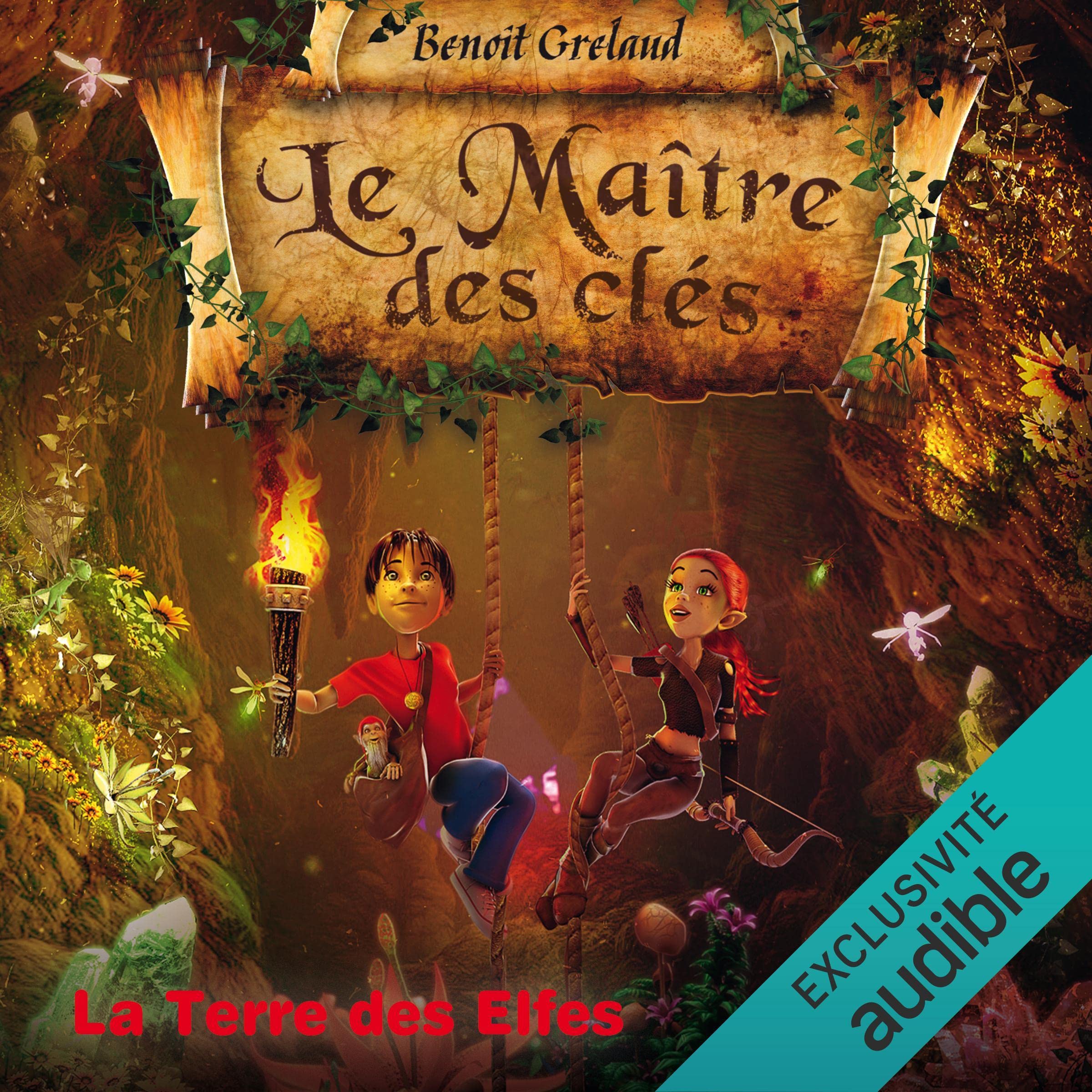 Cover art for La Terre des Elfes