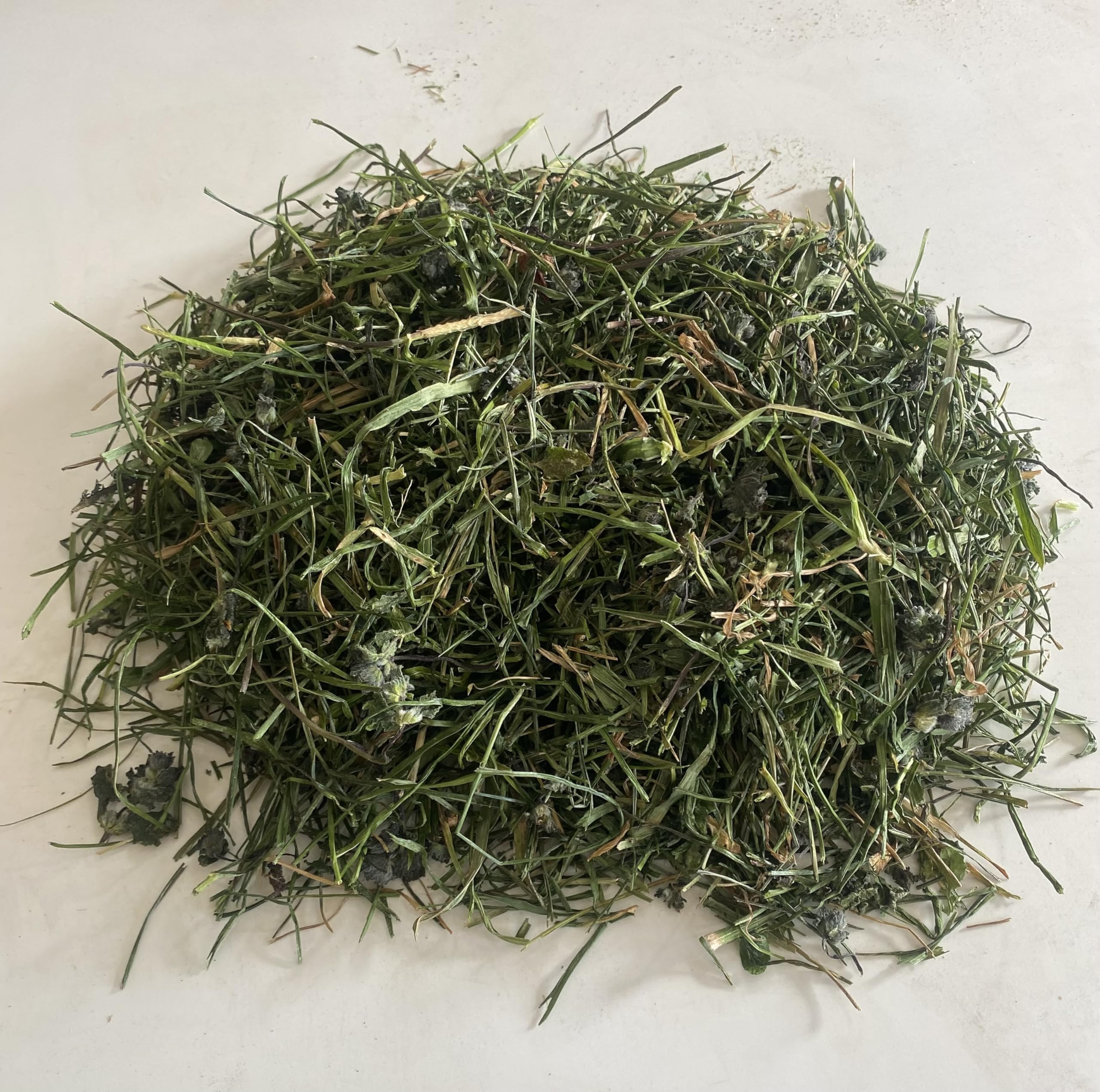 Amazon | 牧草 国産 イタリアンライグラス アップル風味70g5個セット