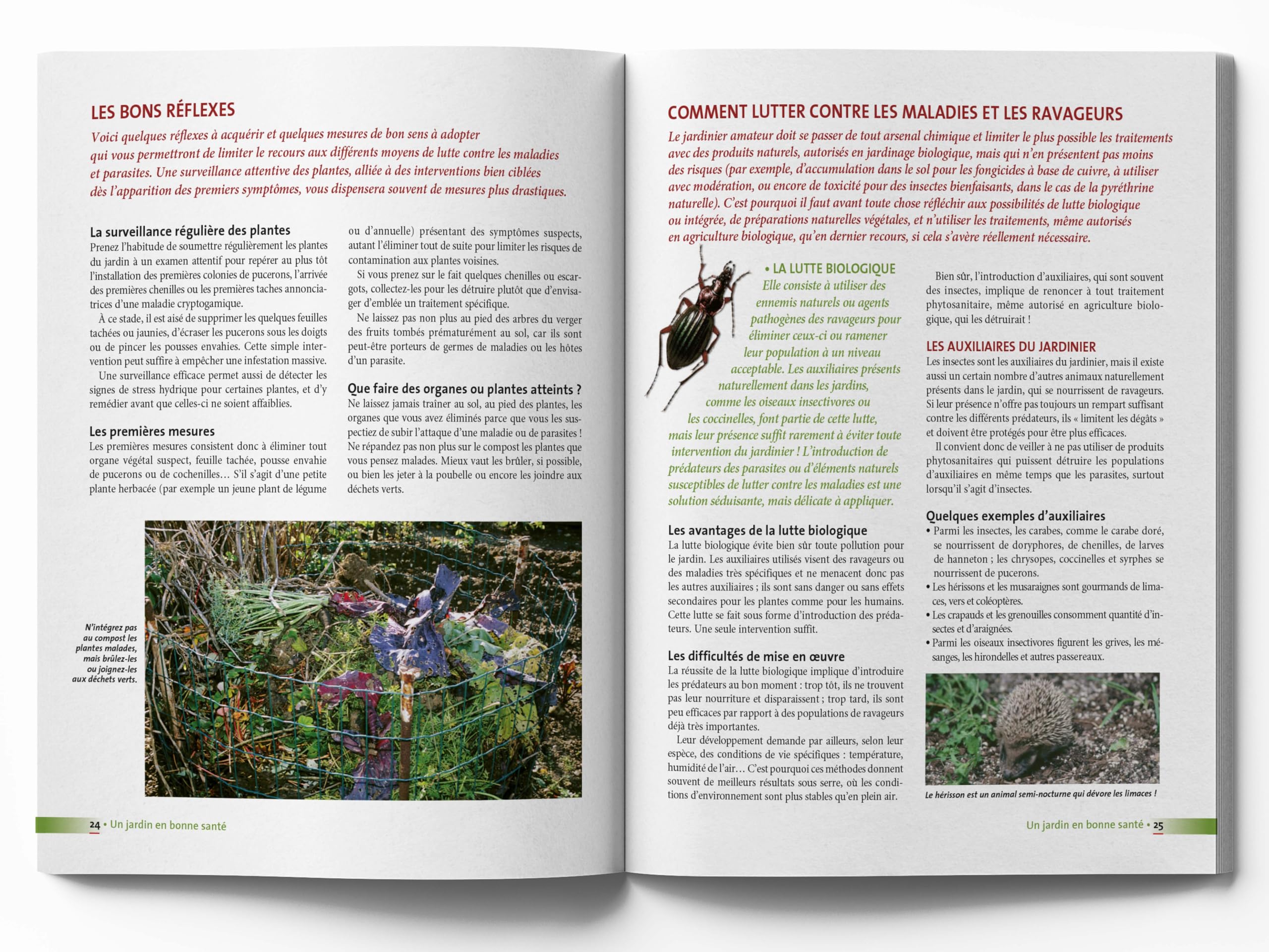 Le traité rustica des maladies et des indésirables au jardin: Plante par plante