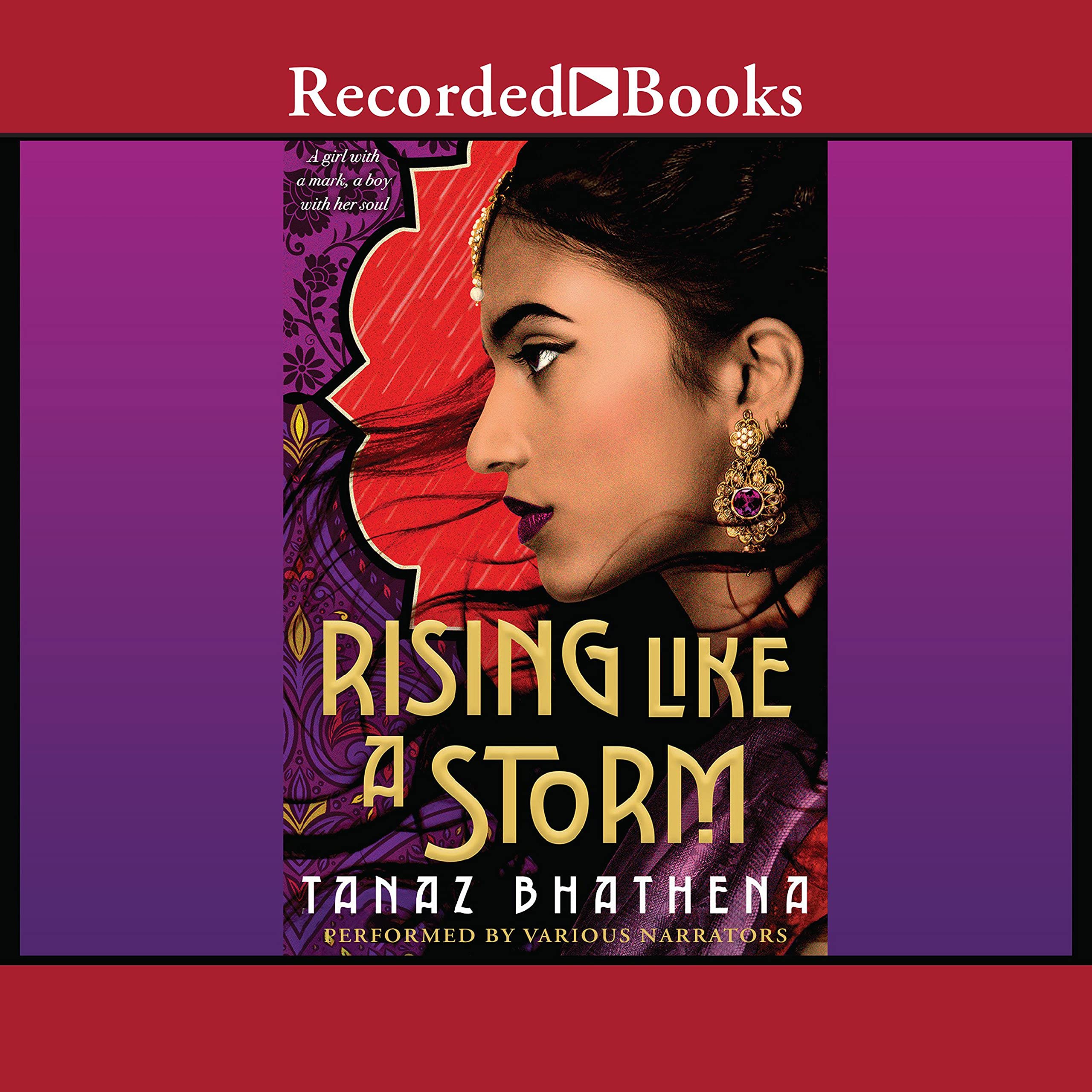Cover art for Rising Like a Storm