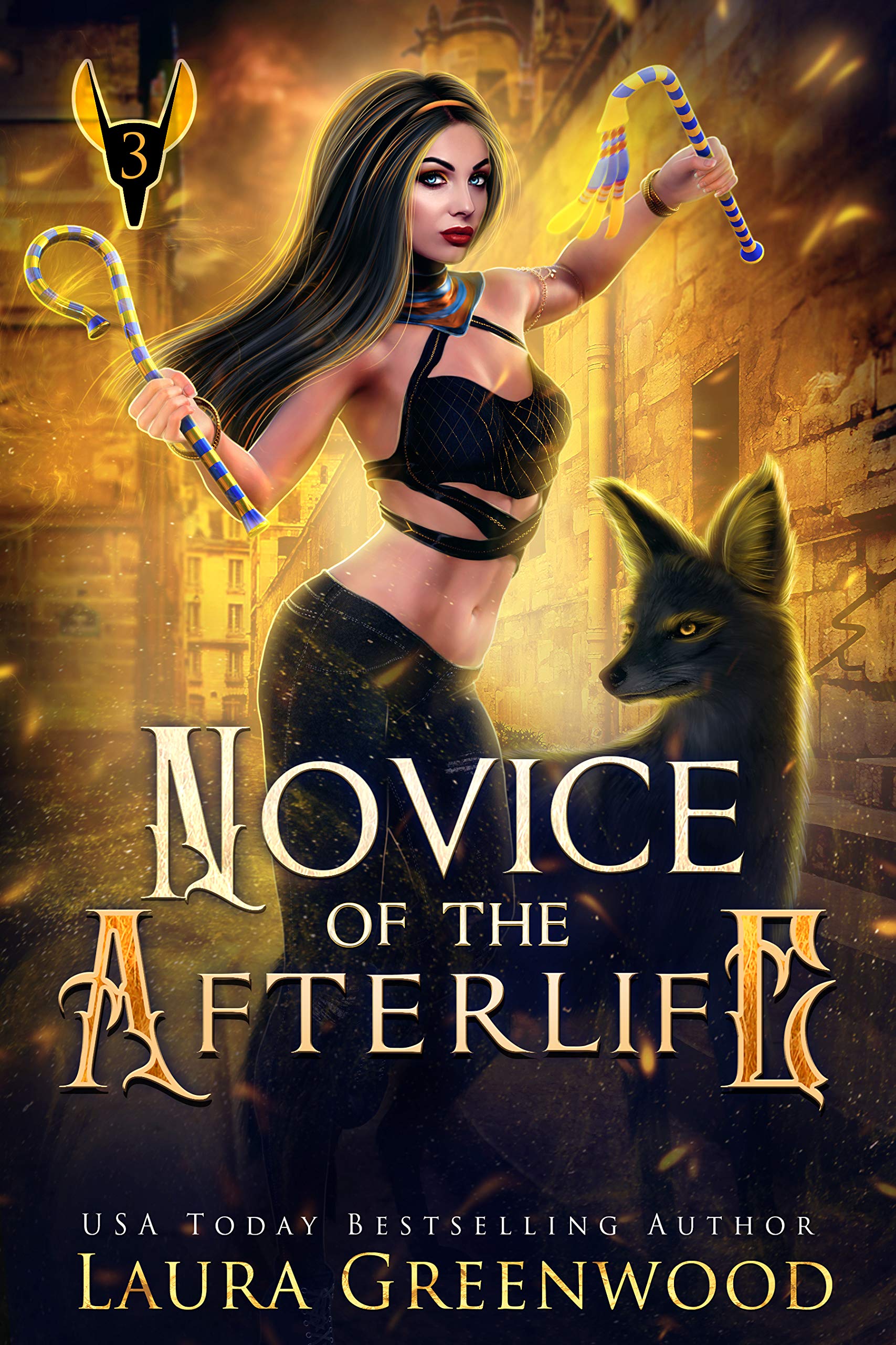 Cover of Novice of the Afterlife