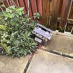 Review Image by ATL ATL