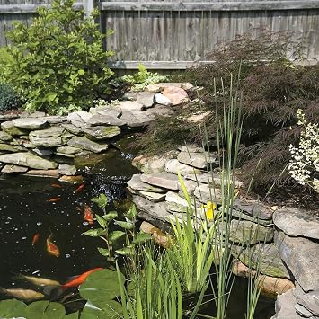 Tetra Pond Submersible Flat Box Filter 250-500 Gal | Stops Pump Clogging, Includes Foam Pads, Tubing & 3 Hose Fittings, Easy Cleaning.