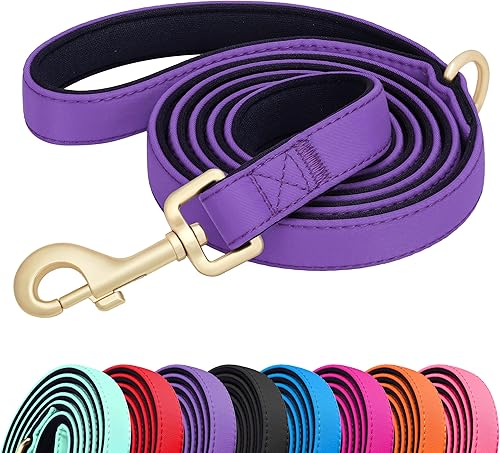 Miniatura 11 de Didog Correa para perro de nailon colorido de 5 pies con acolchado suave de longitud completa, ligera y duradera para perros pequeños, rojo, S