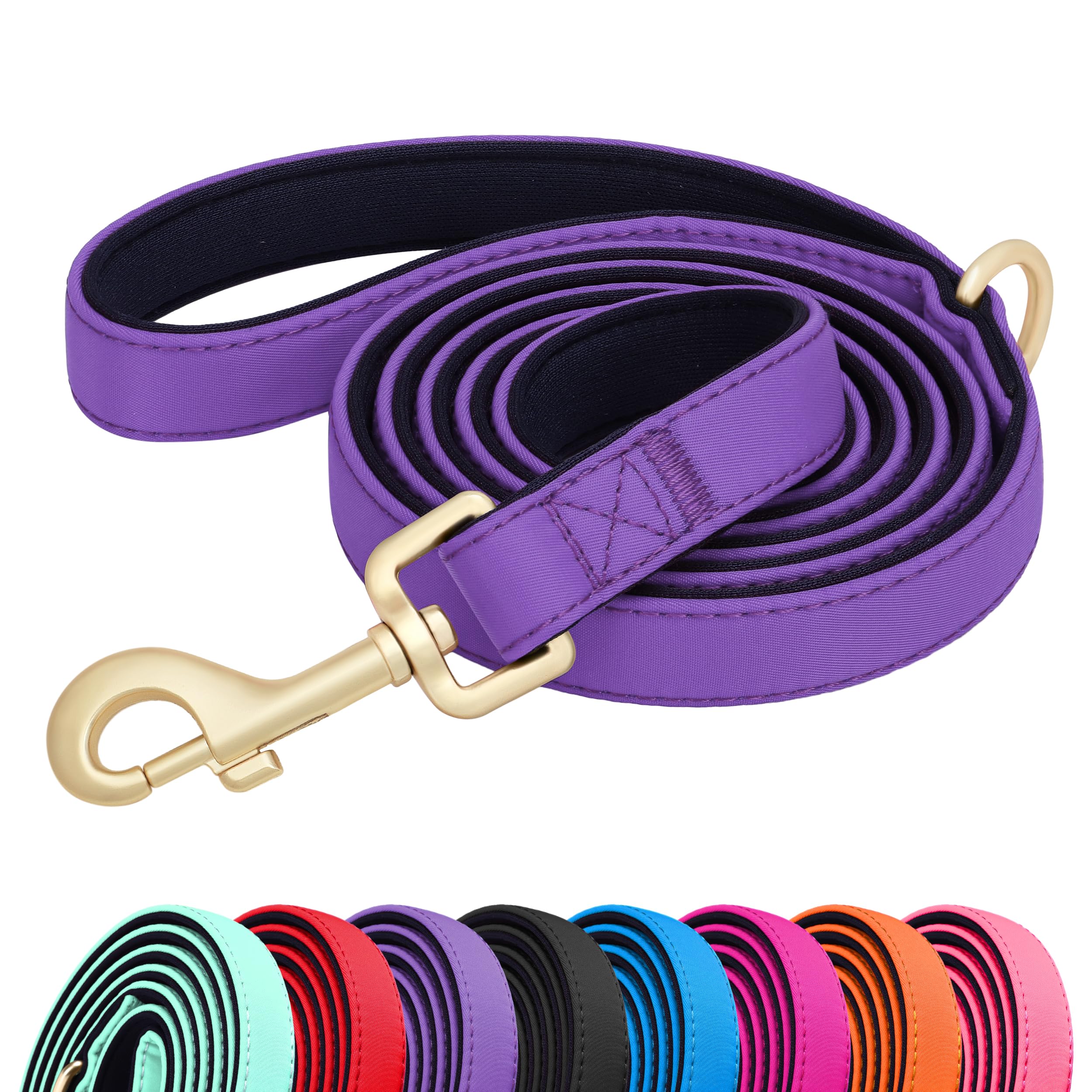 Laisse pour chien en nylon légère et durable violette Didog pour grand chien