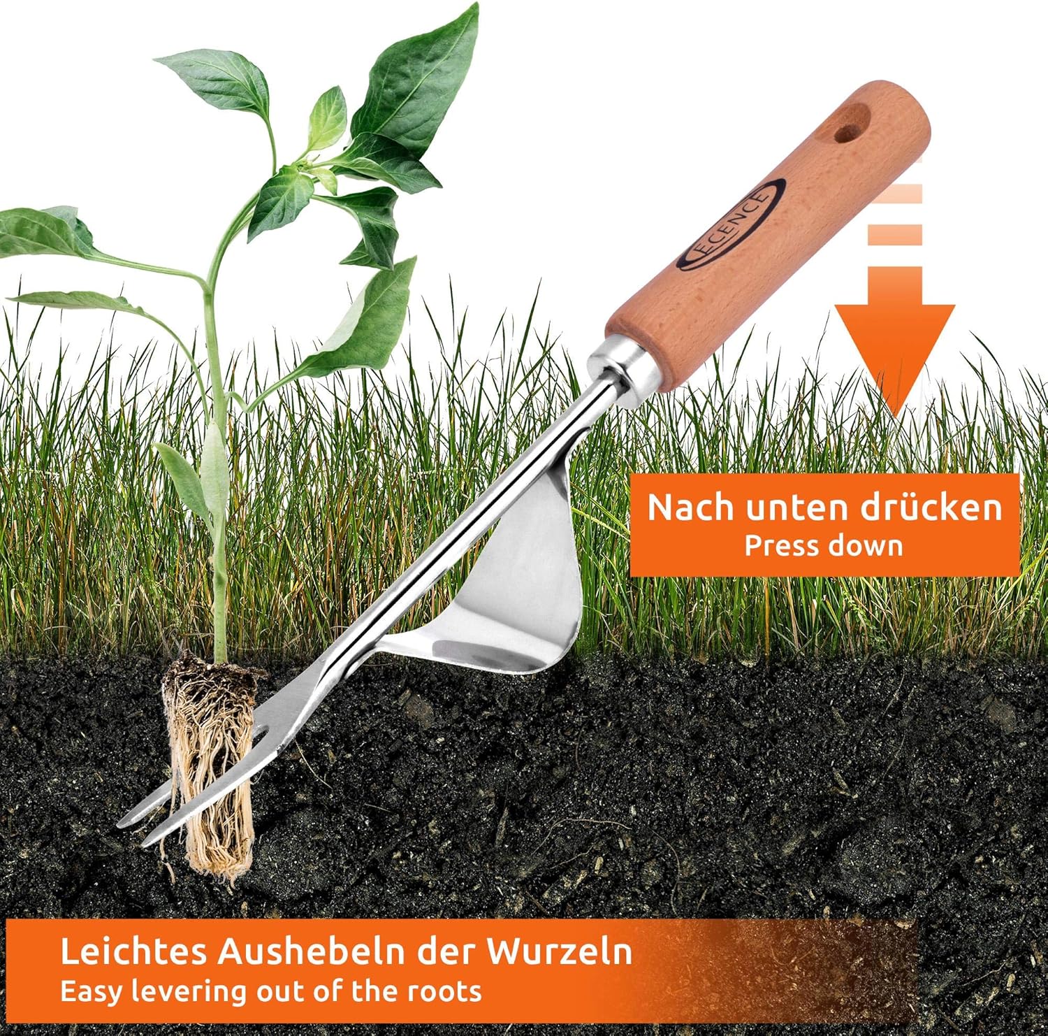 ECENCE Stainless steel weed picker, root weeder with wooden handle