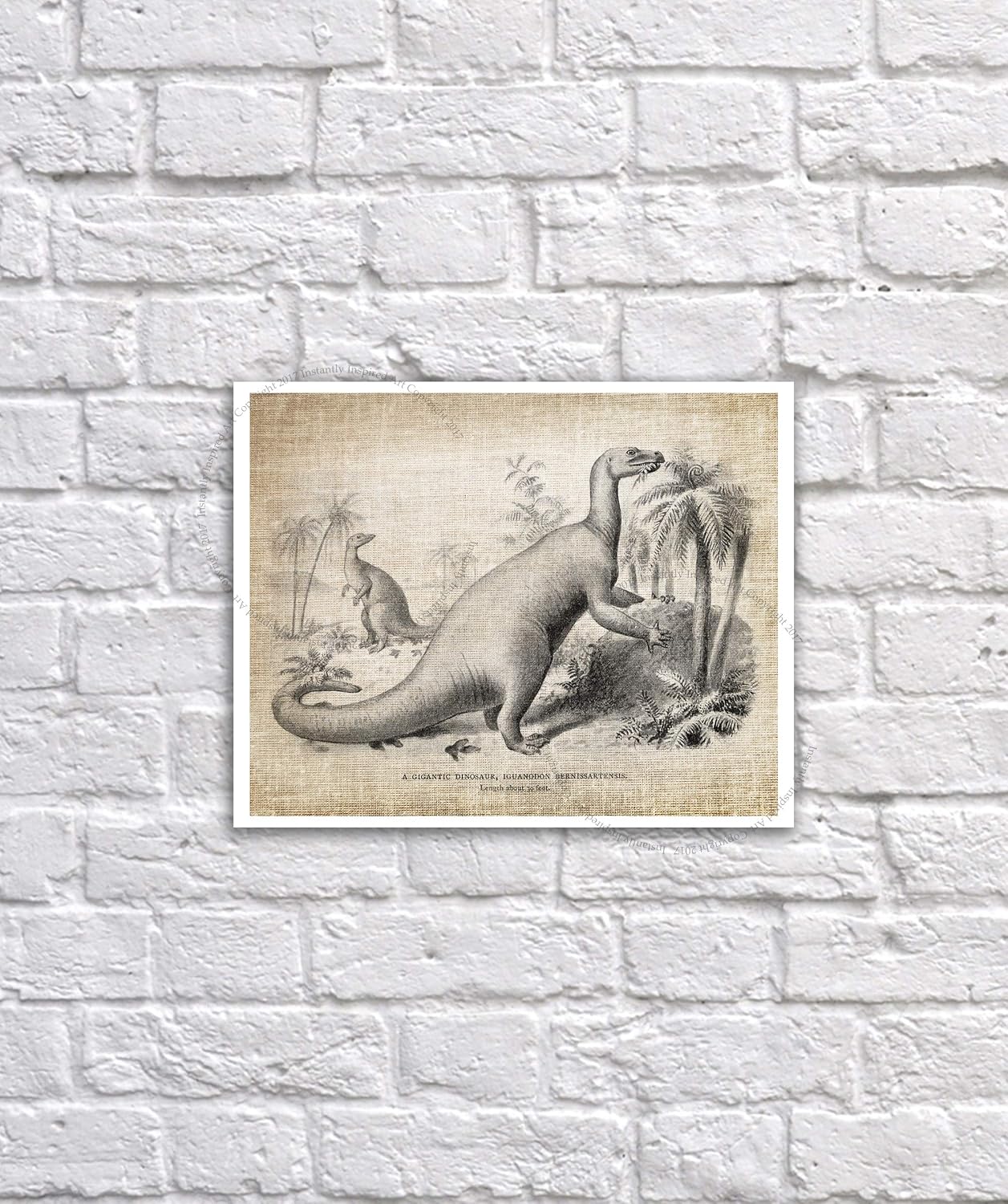 Gnosis Picture Archive Dinosaurs Pictures set of 4 Unframed Art Prints Nursery Kids Room Decor