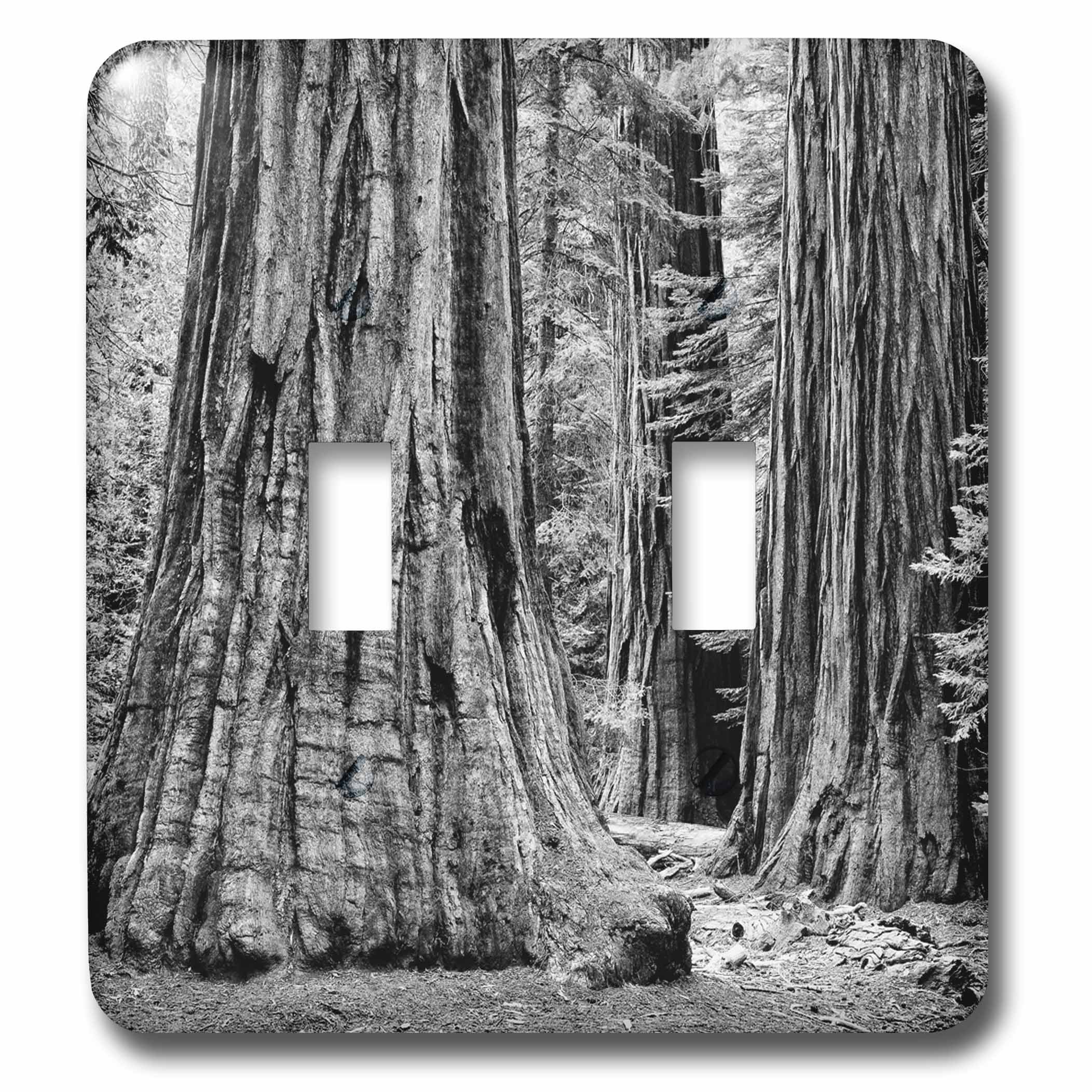 Interrupteur à bascule Arbres Sequoia pour remplacer vos plaques de lumière ternes
