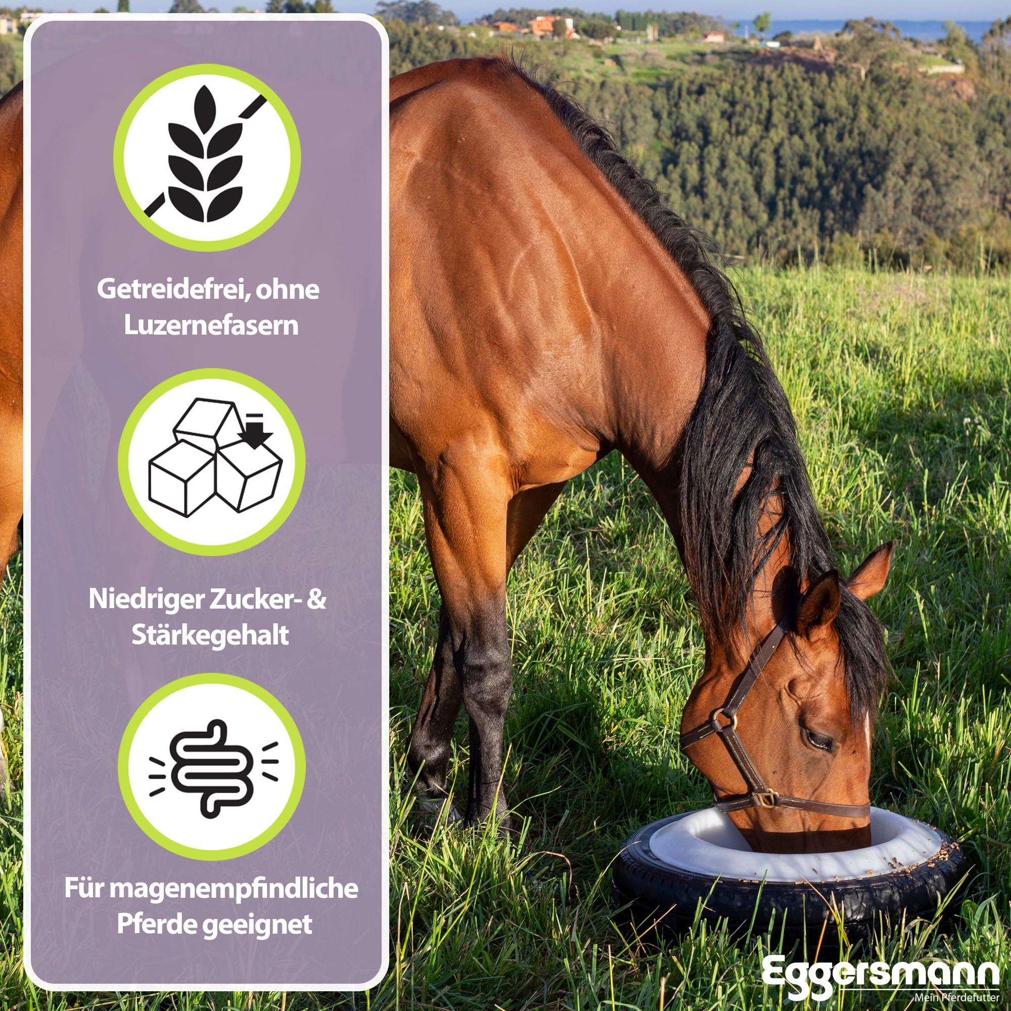 Eggersmann Mein Pferdefutter Terminal Plantes Sans Céréales 8 Kg – Minéral Naturel Chevaux Sensibles