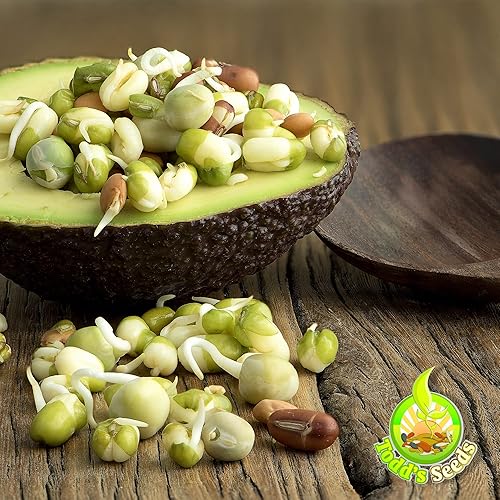 Miniatura 2 de Todd's Seeds - Mezcla de semillas de germinación de frijoles, guisantes verdes, frijoles Mung, adzuki, garbanzo - 1 libra