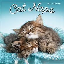 Cat Naps 2027 Wall Calendar, 16-Month Cat Calendar, 12" x 12"