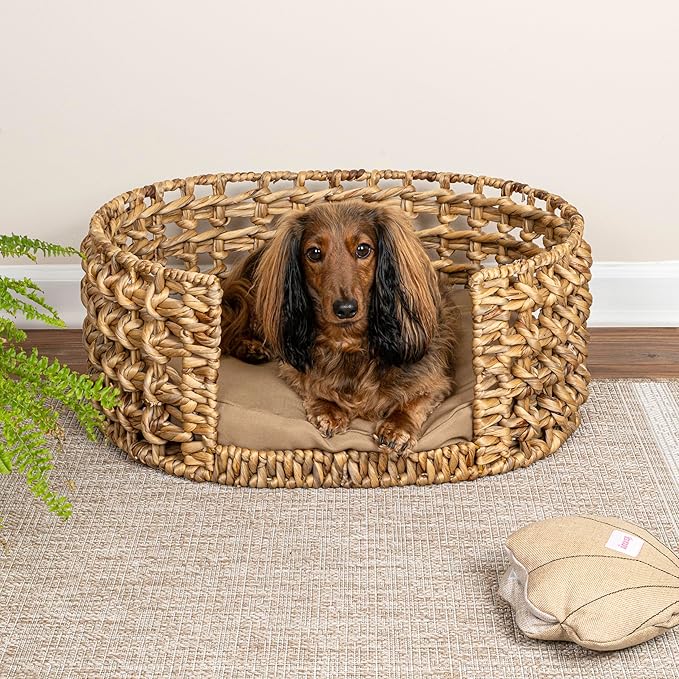 Cama Oval para Perro Mediana 60x45cm Lavable y Resistente miniatura 6